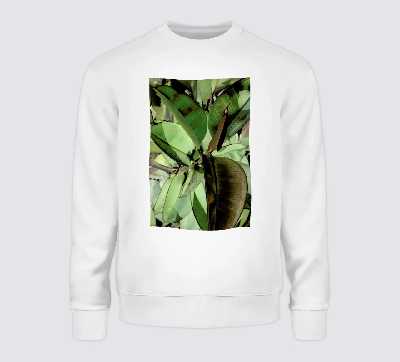 Ficus Elastica sweatshirt van Shot By Clint