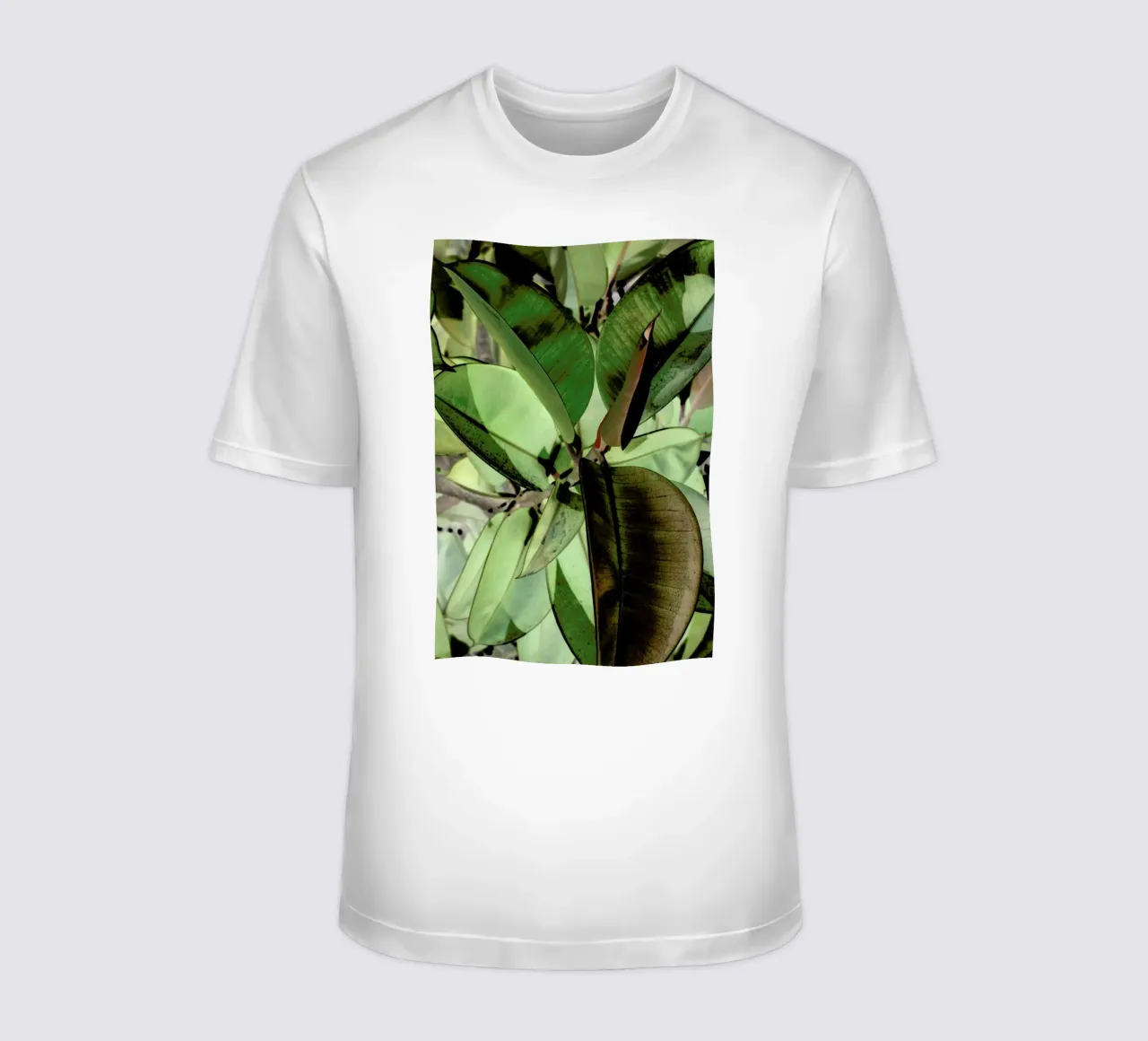 Ficus Elastica t-shirt da Shot By Clint