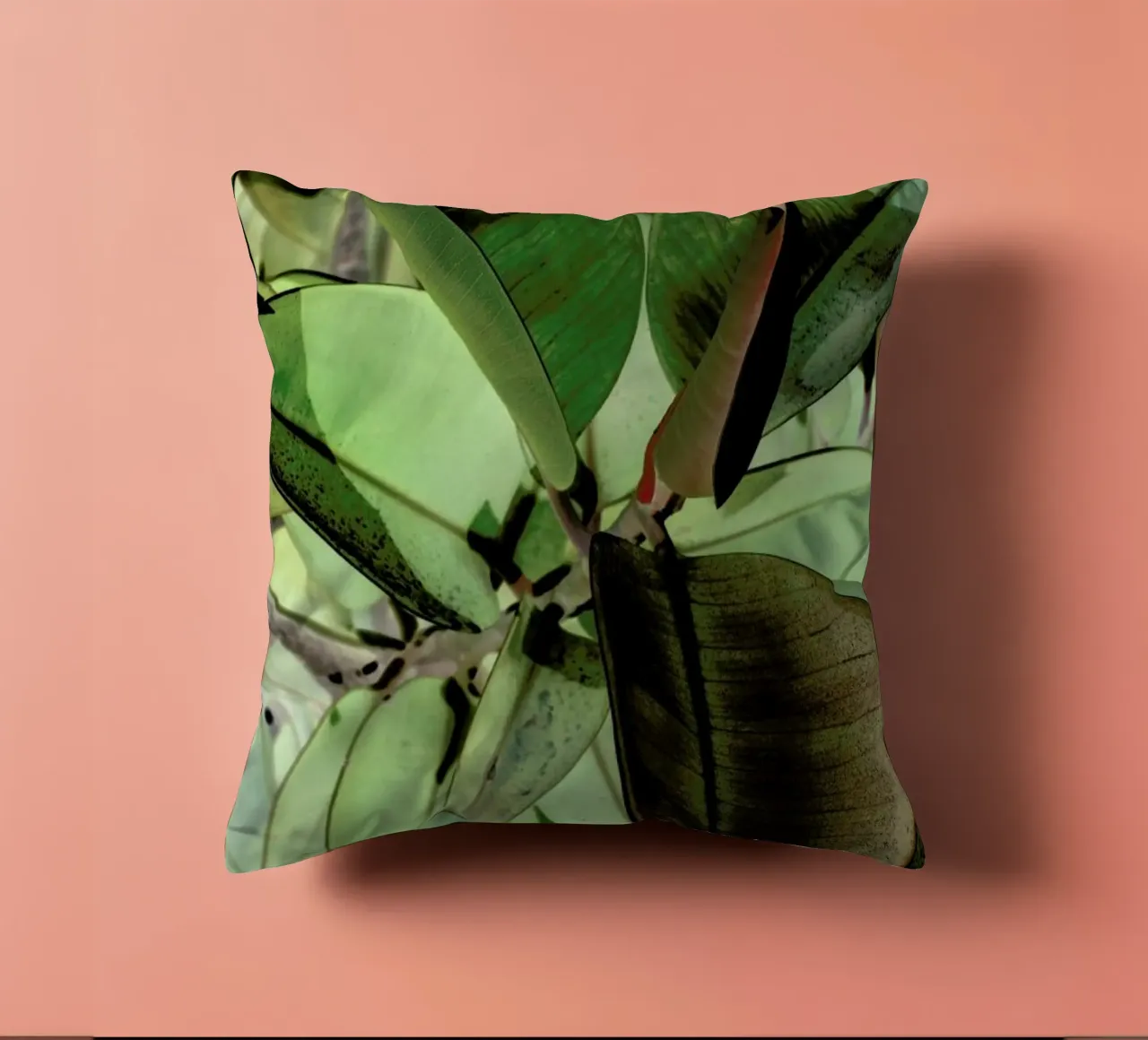 Ficus Elastica cuscino da Shot By Clint