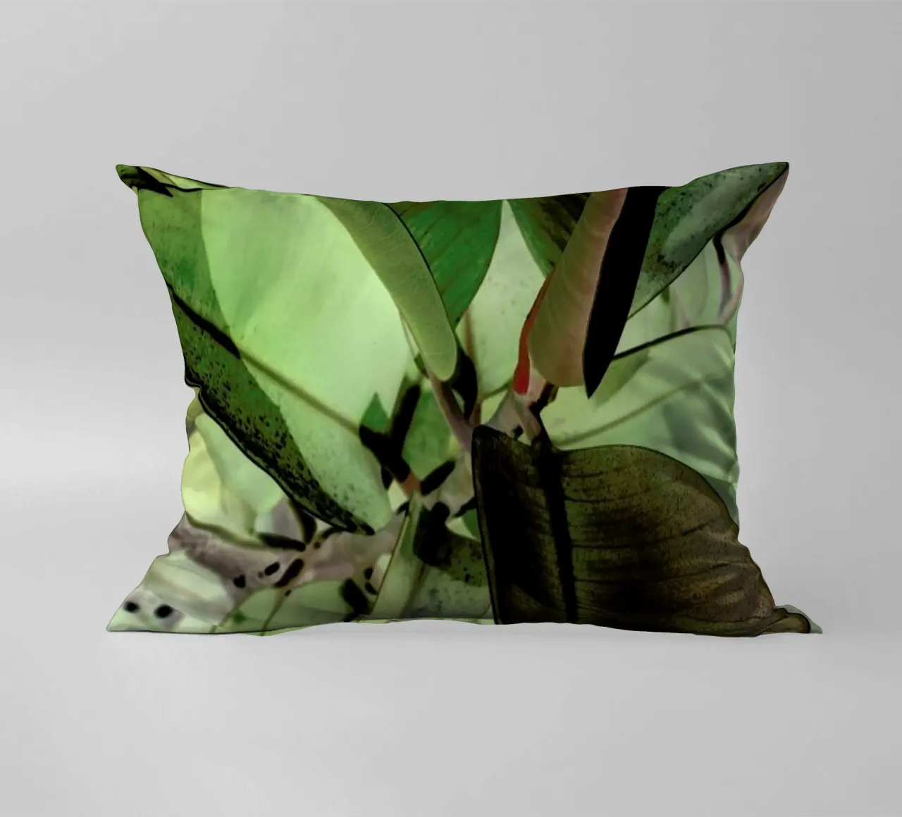 Ficus Elastica cuscino da Shot By Clint