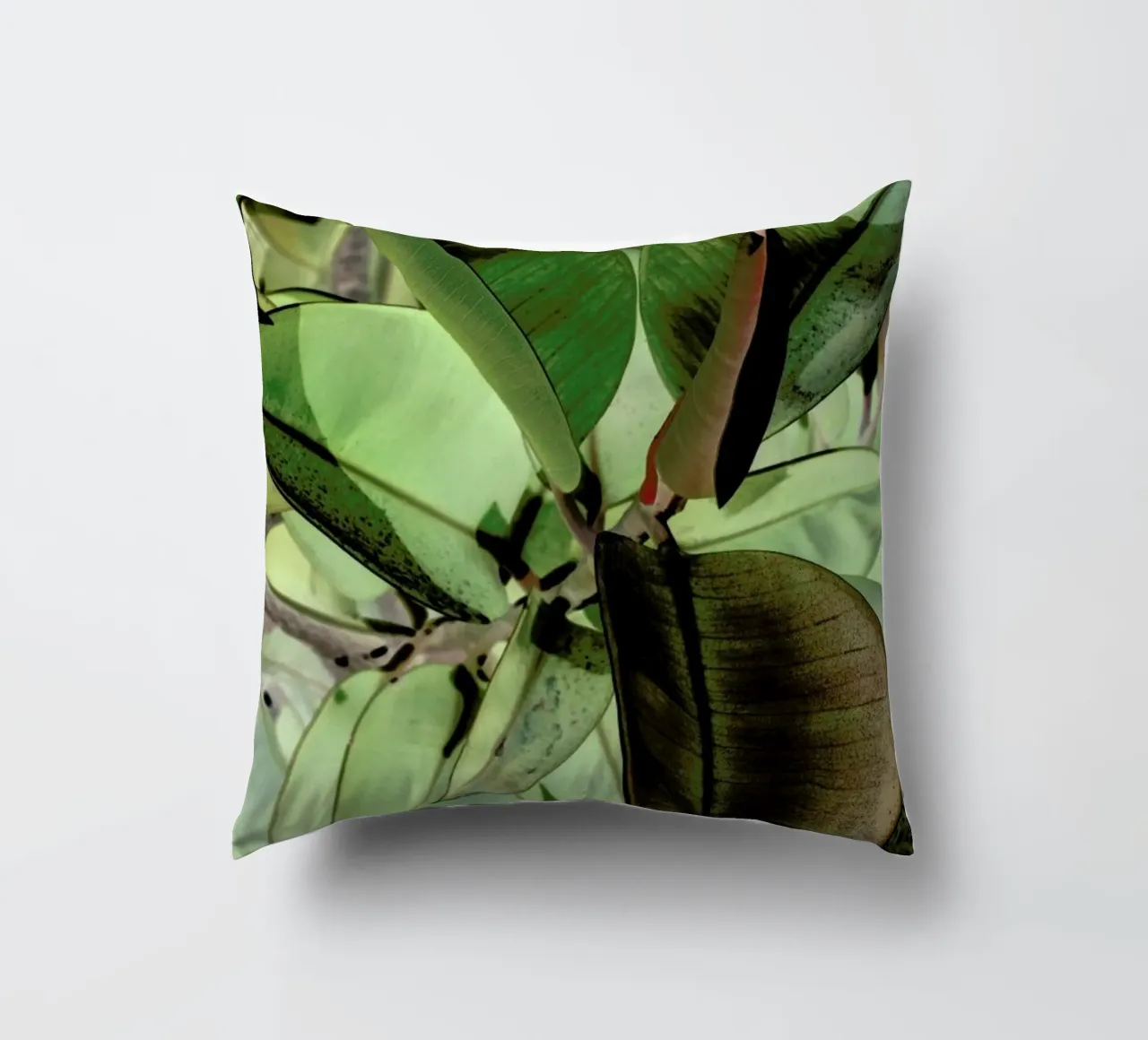 Ficus Elastica cuscino da Shot By Clint
