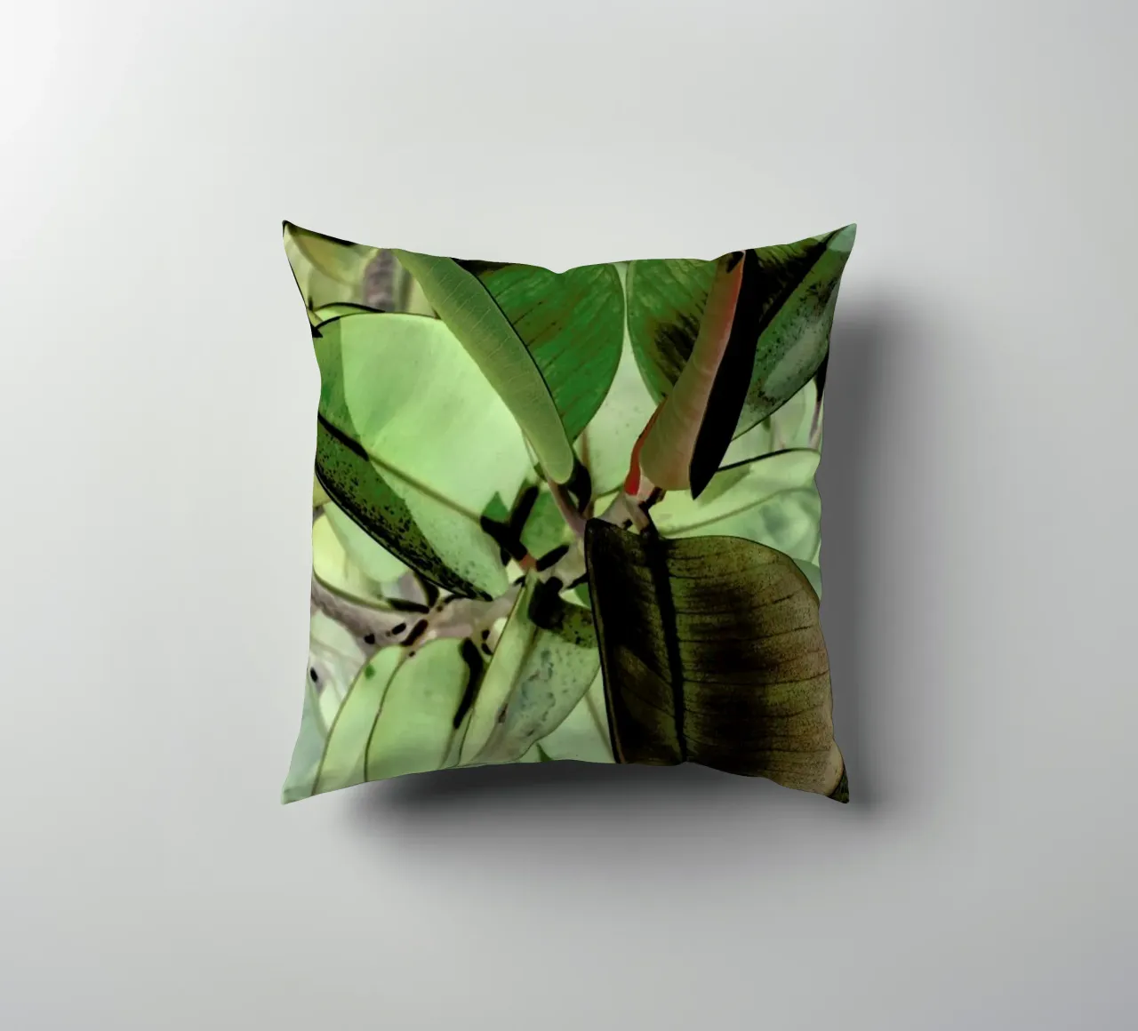 Ficus Elastica cuscino da Shot By Clint