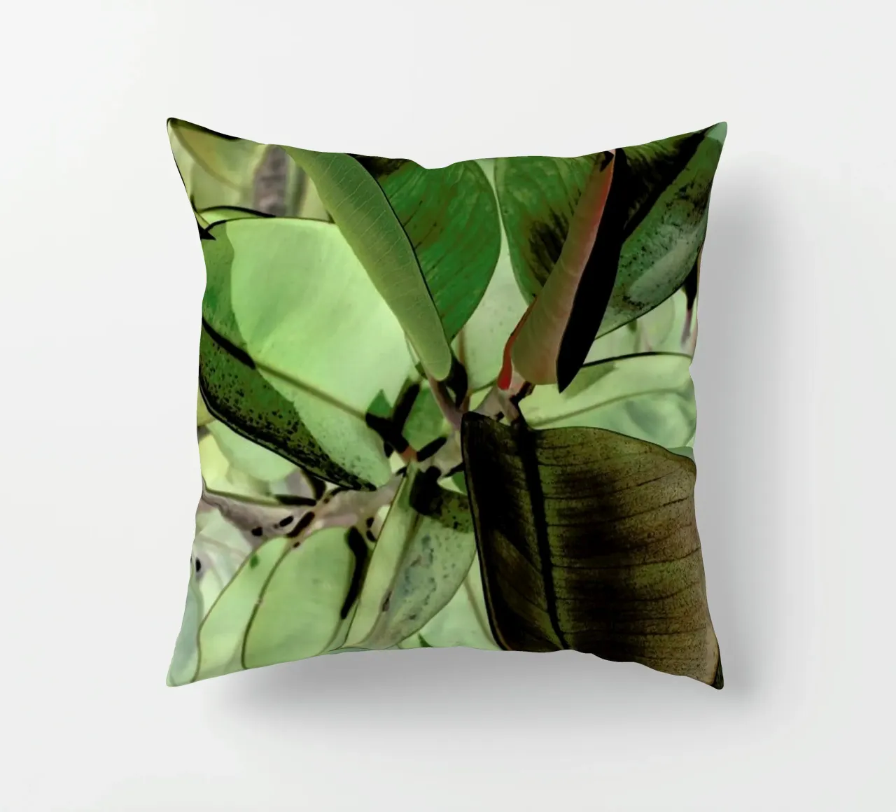 Ficus Elastica cuscino da Shot By Clint