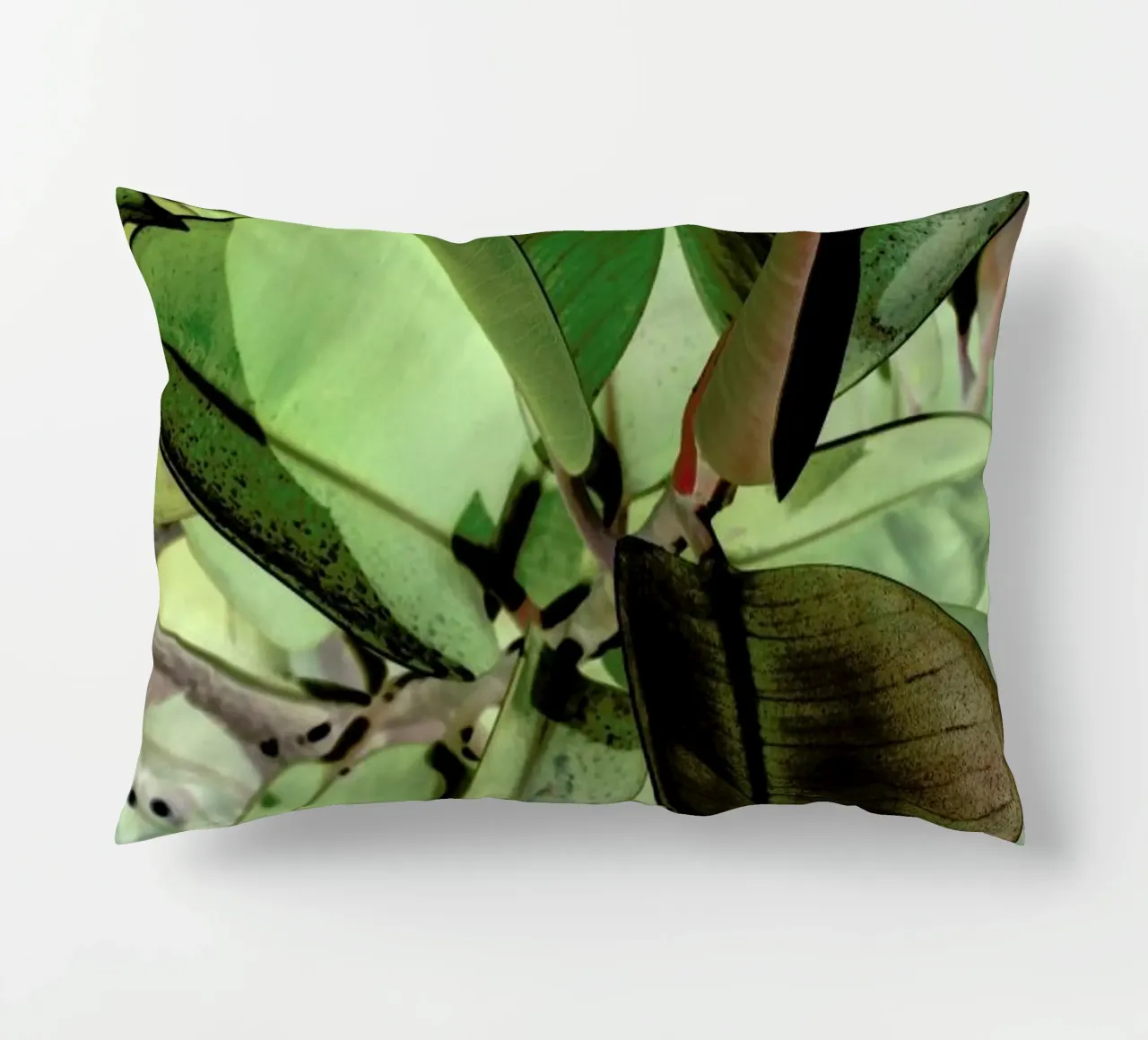 Ficus Elastica cuscino da Shot By Clint