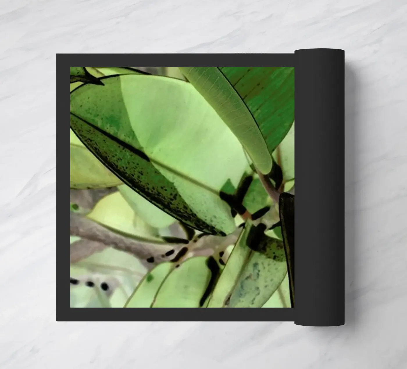 Ficus Elastica paillasson de Shot By Clint