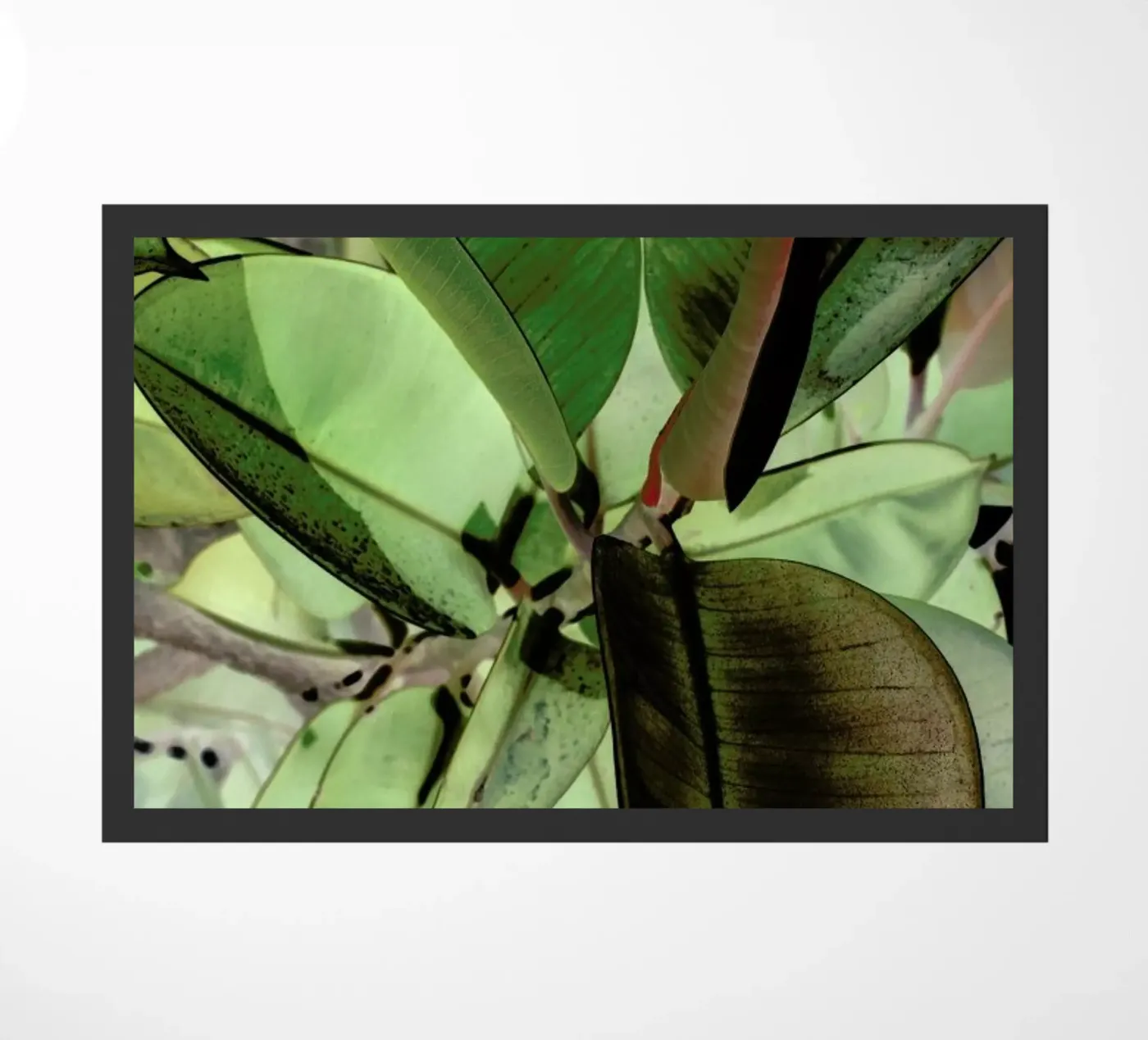 Ficus Elastica paillasson de Shot By Clint