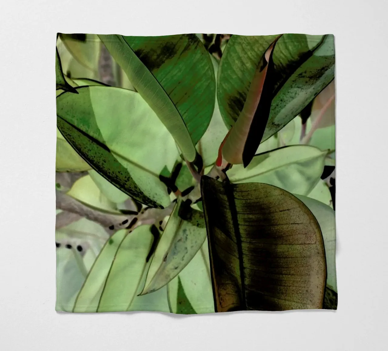 Ficus Elastica coperta in pile da Shot By Clint