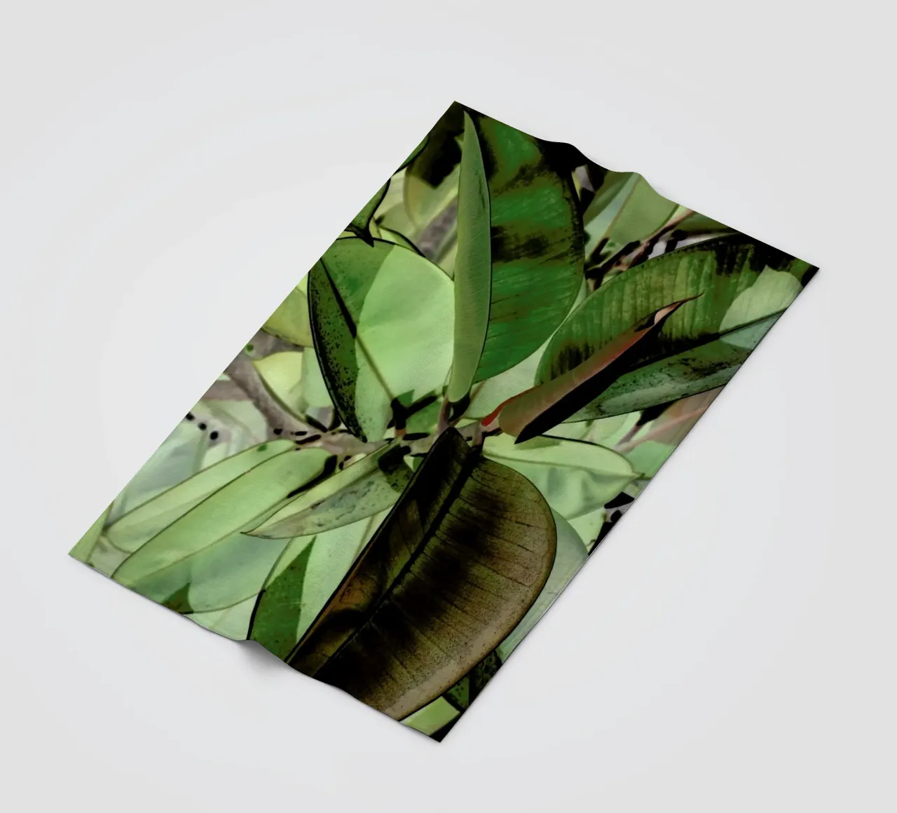 Ficus Elastica coperta in pile da Shot By Clint