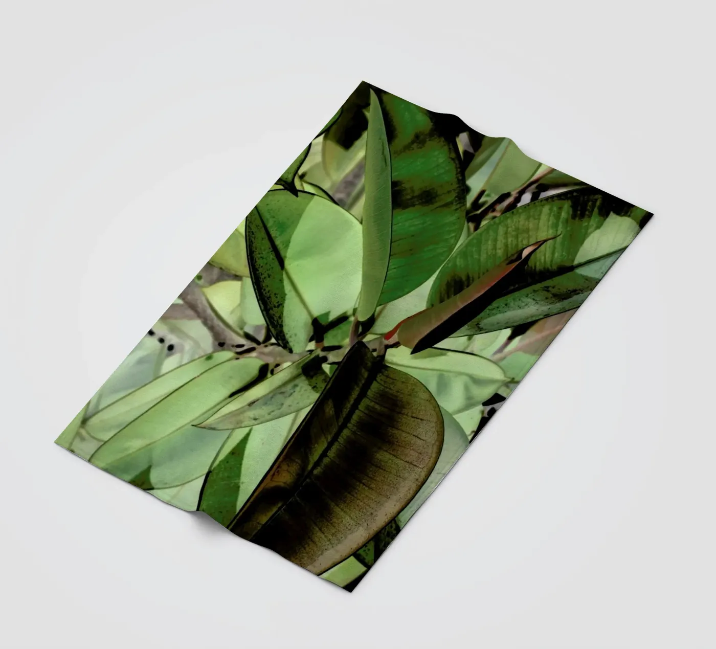 Ficus Elastica fleecedeken van Shot By Clint