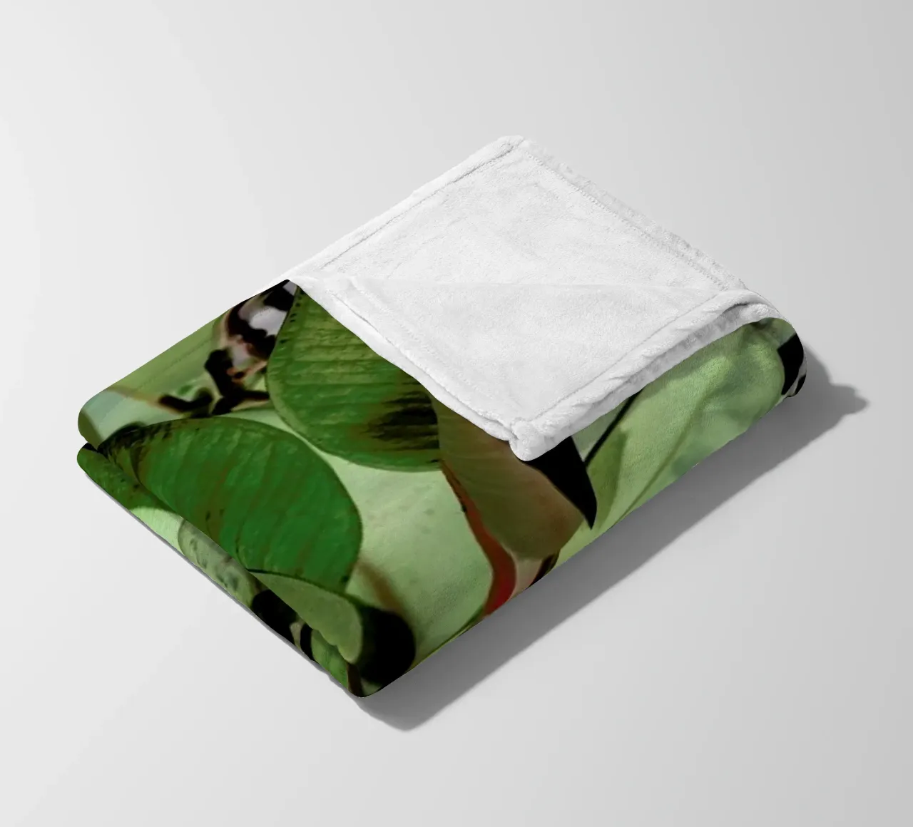 Ficus Elastica coperta in pile da Shot By Clint