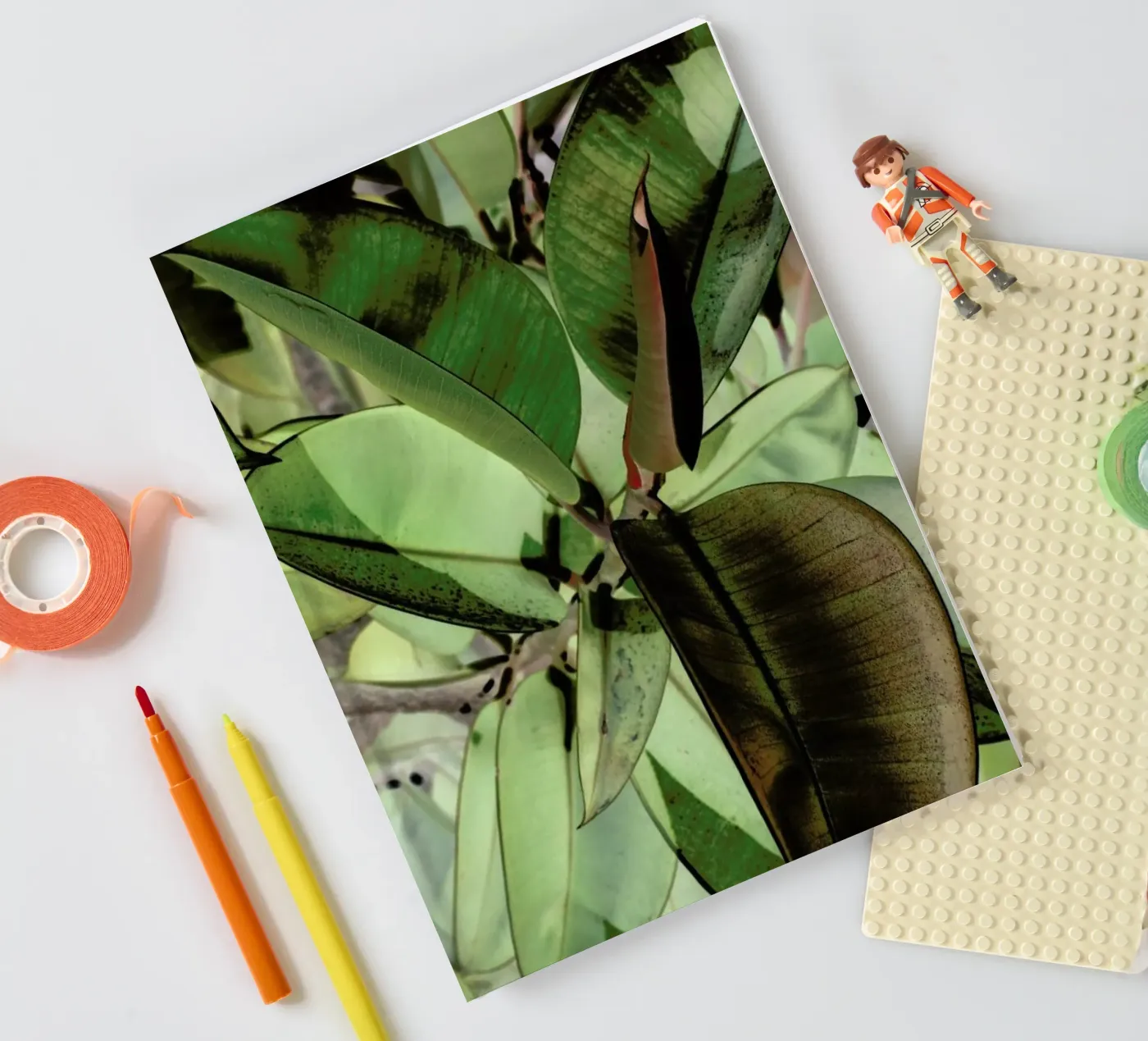 Ficus Elastica notebook by Shot By Clint