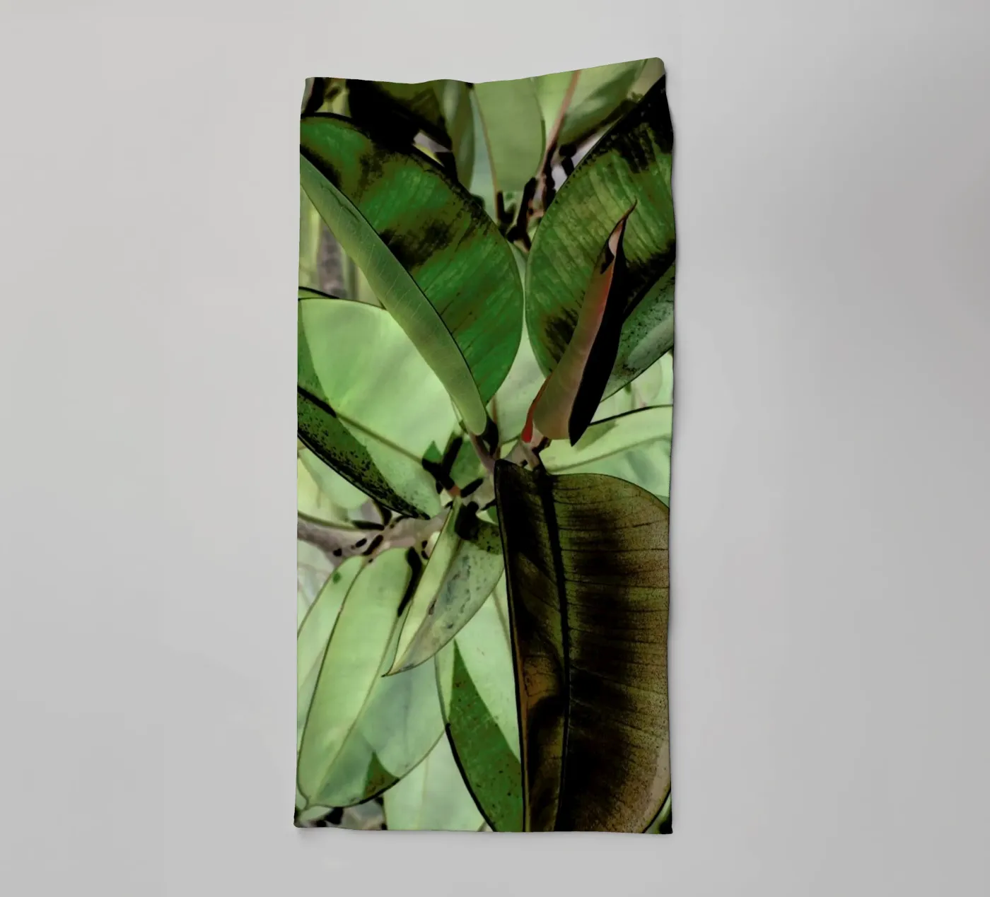 Ficus Elastica towel by Shot By Clint