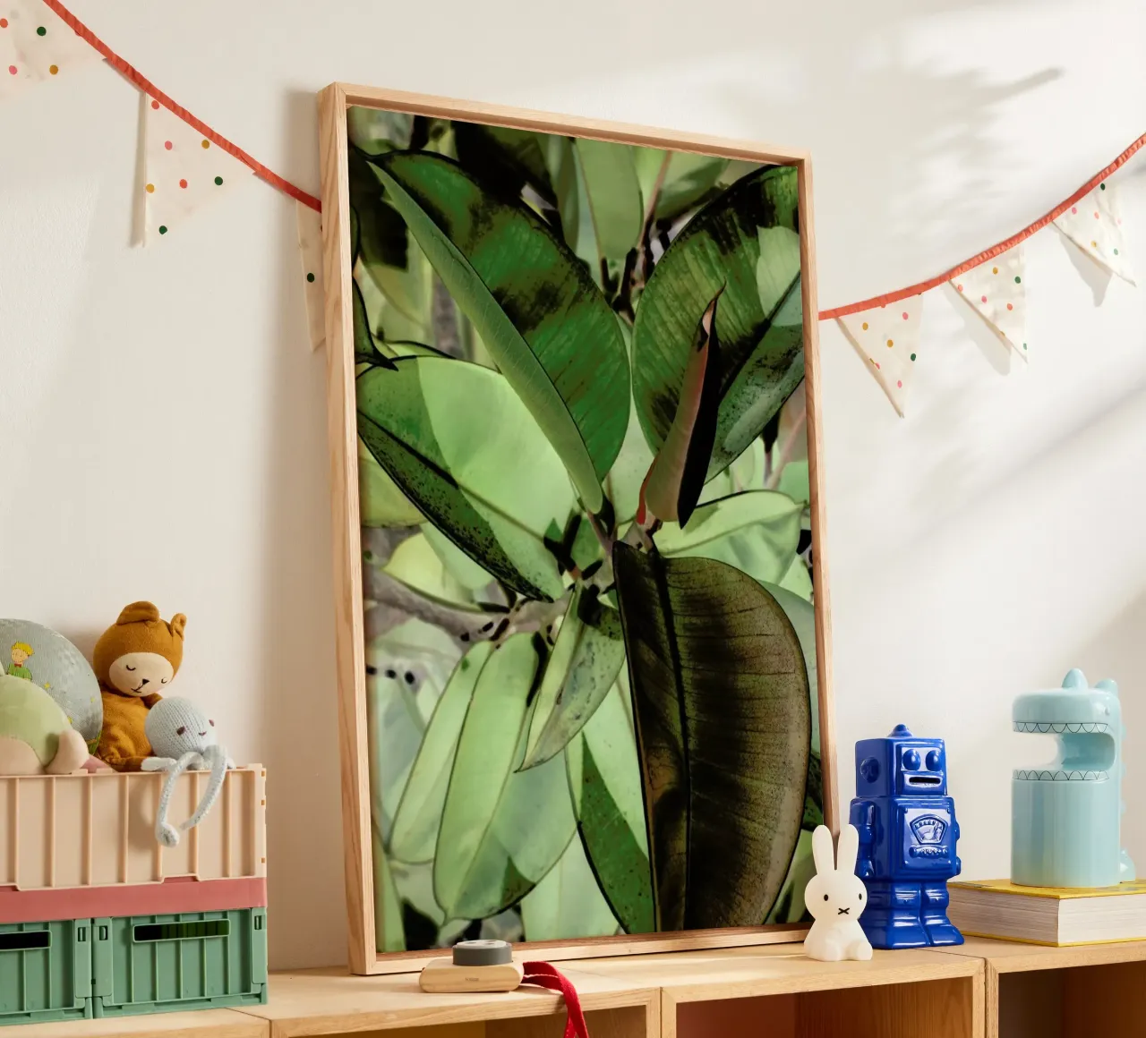 Ficus Elastica tela da Shot By Clint