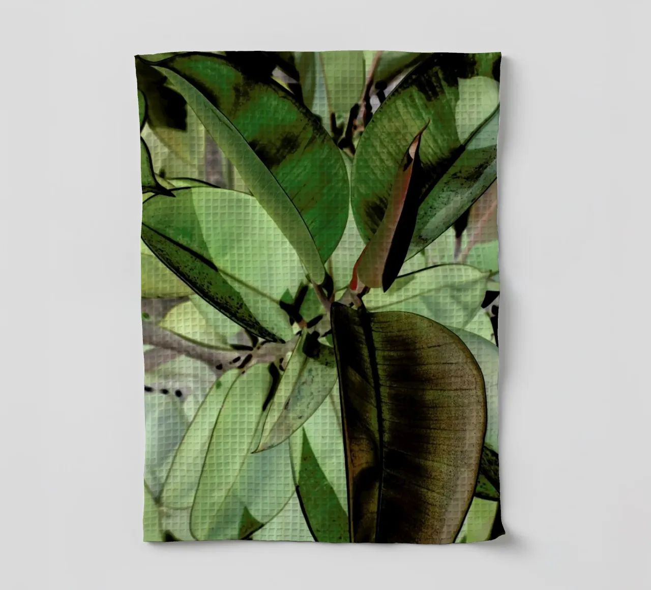Ficus Elastica canovaccio da cucina da Shot By Clint