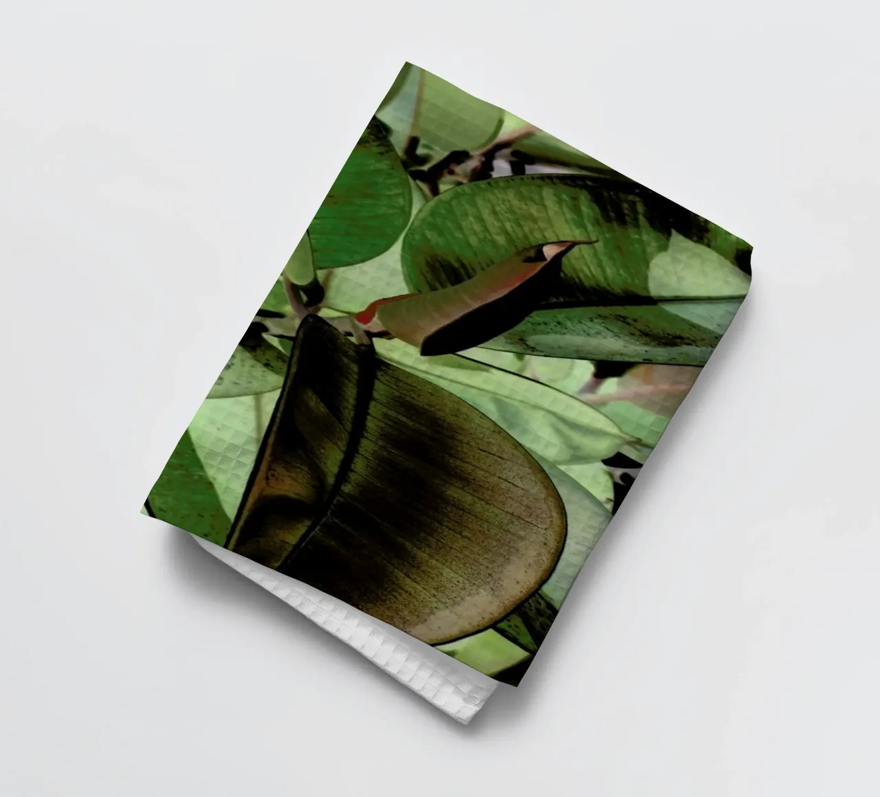 Ficus Elastica canovaccio da cucina da Shot By Clint