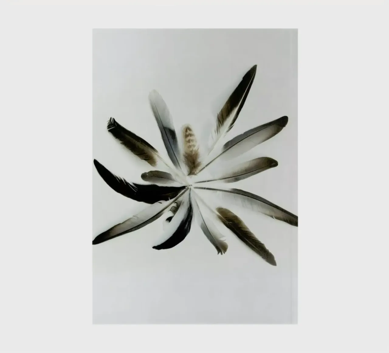 Feathers Circle notebook by Miles of Light