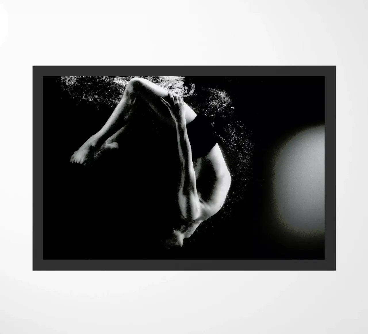 Dance, Dance, Dance 40 zerbino da Günther Egger