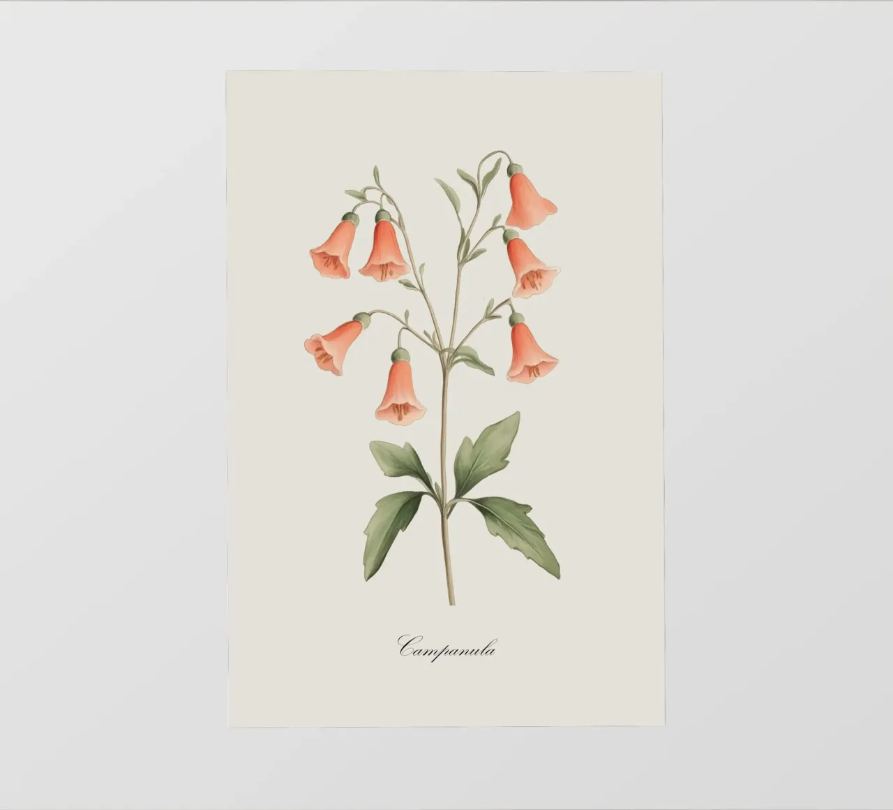Campanula Campanule pellicola backlit da Melloi Art Print