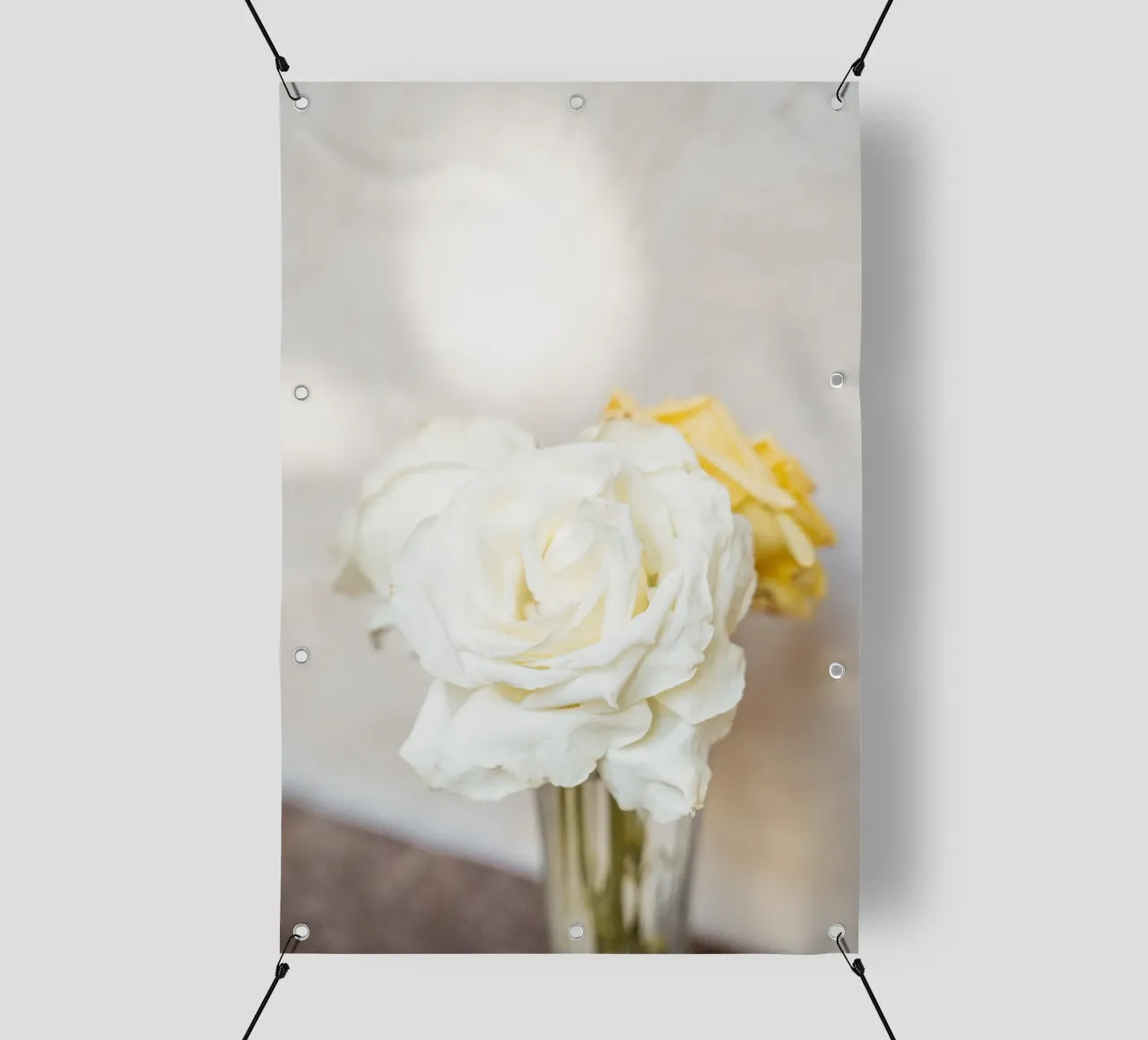 Rose bianche telo in pvc da Henrike Schenk Photography