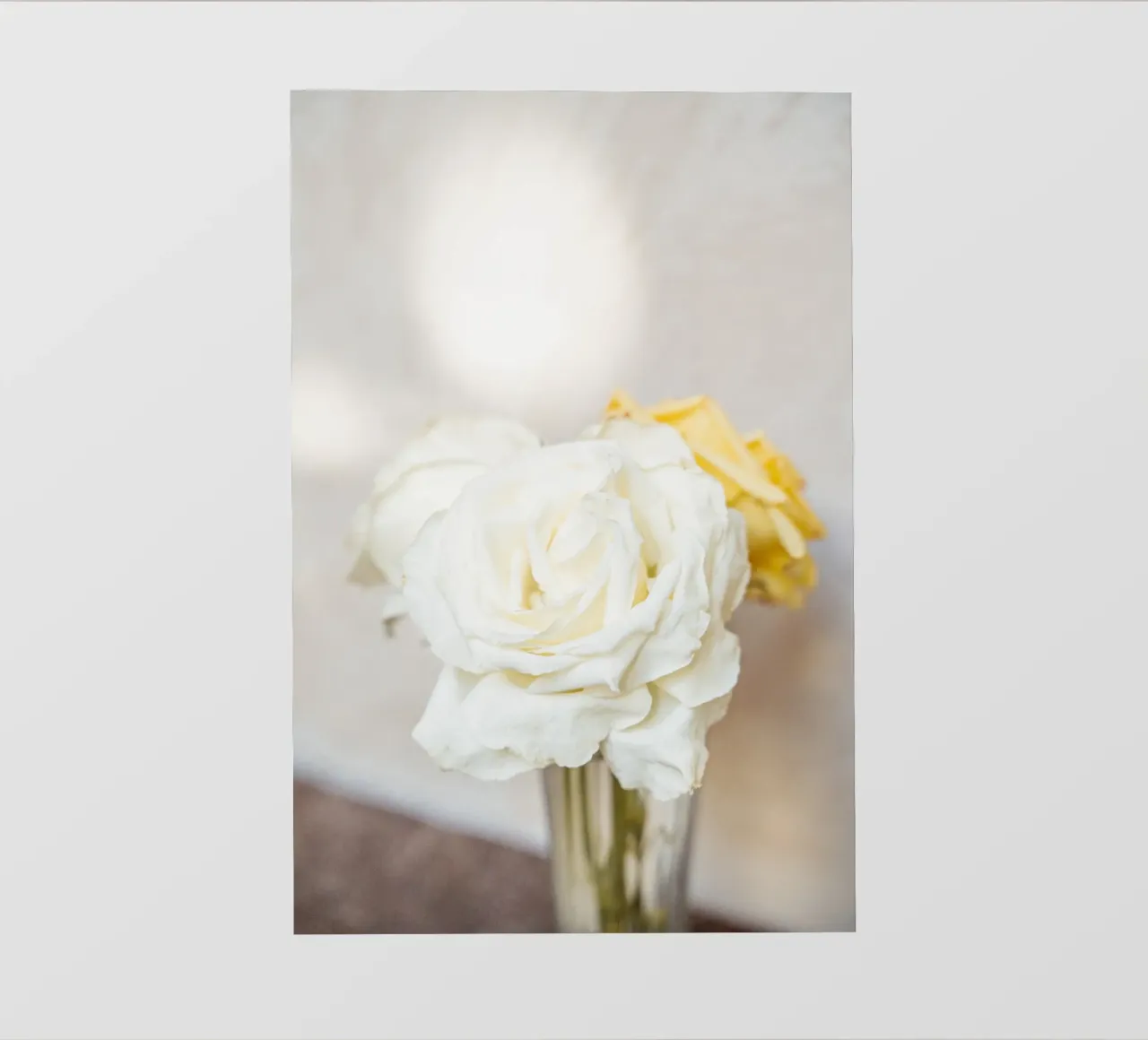 Rose bianche telo in pvc da Henrike Schenk Photography