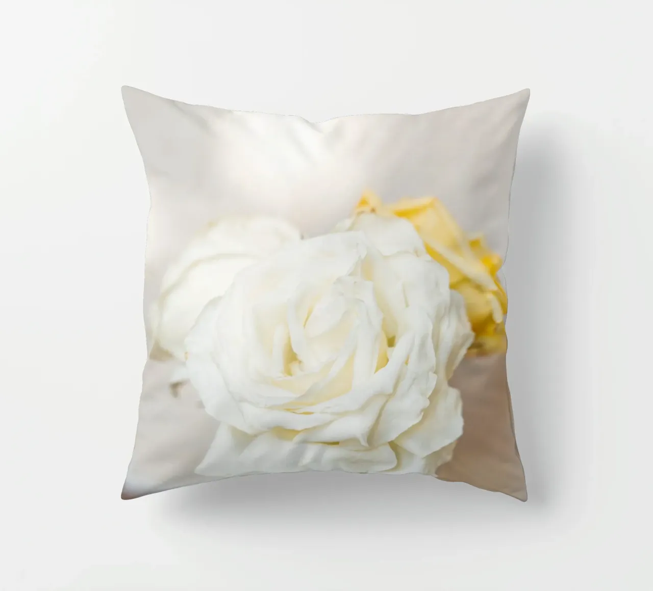 Rose bianche cuscino da Henrike Schenk Photography