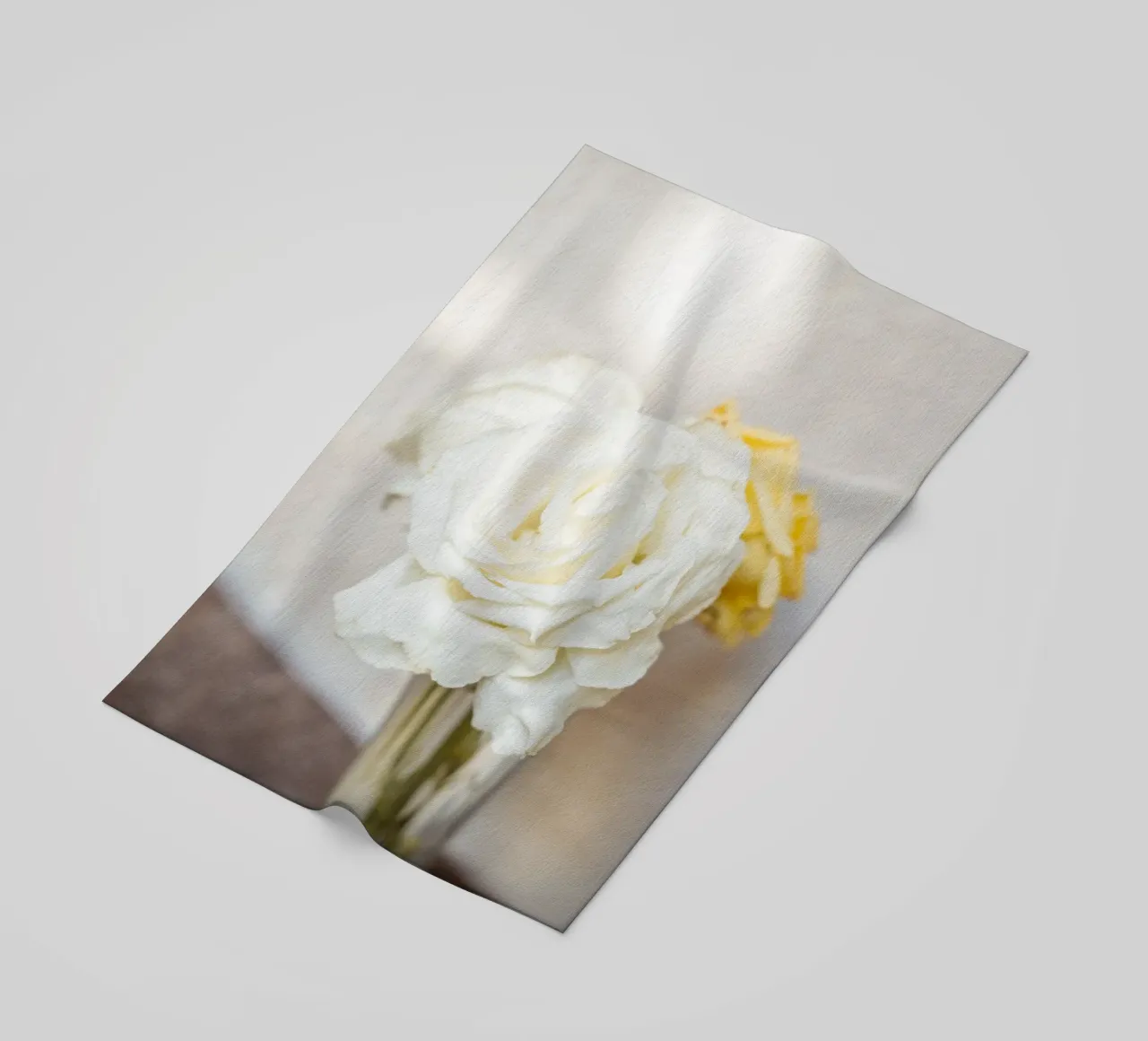 Rose bianche telo mare da Henrike Schenk Photography