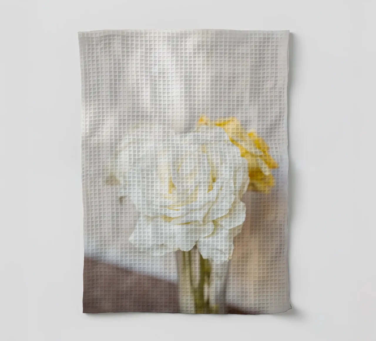 Rose bianche canovaccio da cucina da Henrike Schenk Photography