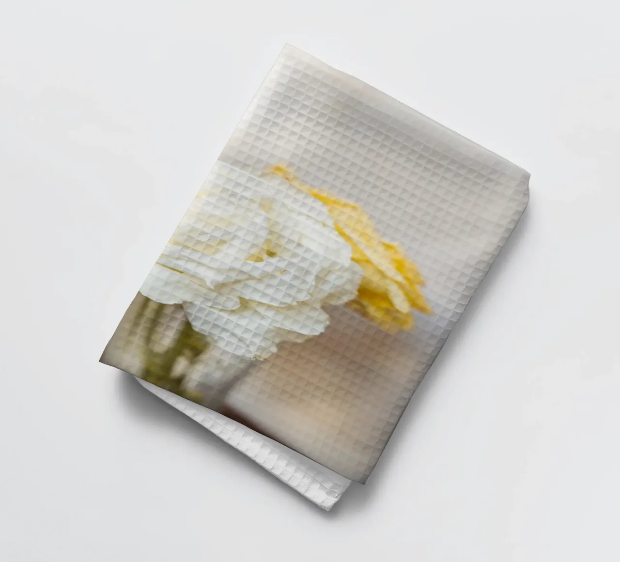Rose bianche canovaccio da cucina da Henrike Schenk Photography