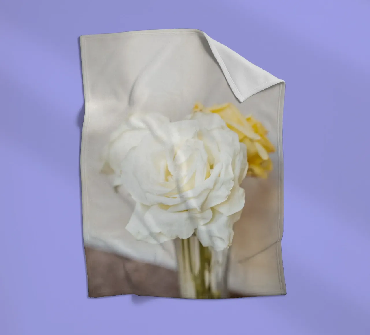 Rose bianche coperta in pile da Henrike Schenk Photography