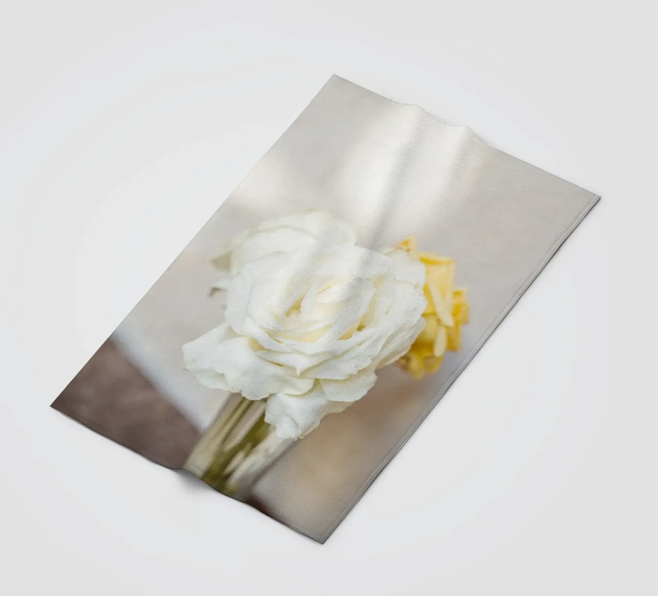 Rose bianche coperta in pile da Henrike Schenk Photography