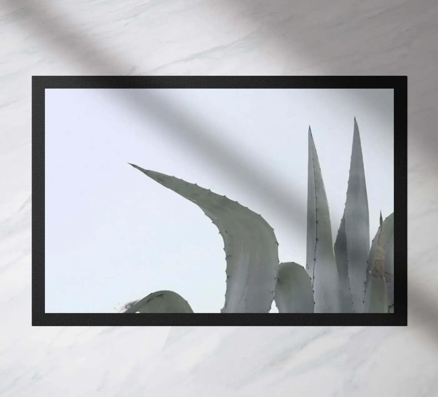 Charming Agave zerbino da Shot By Clint