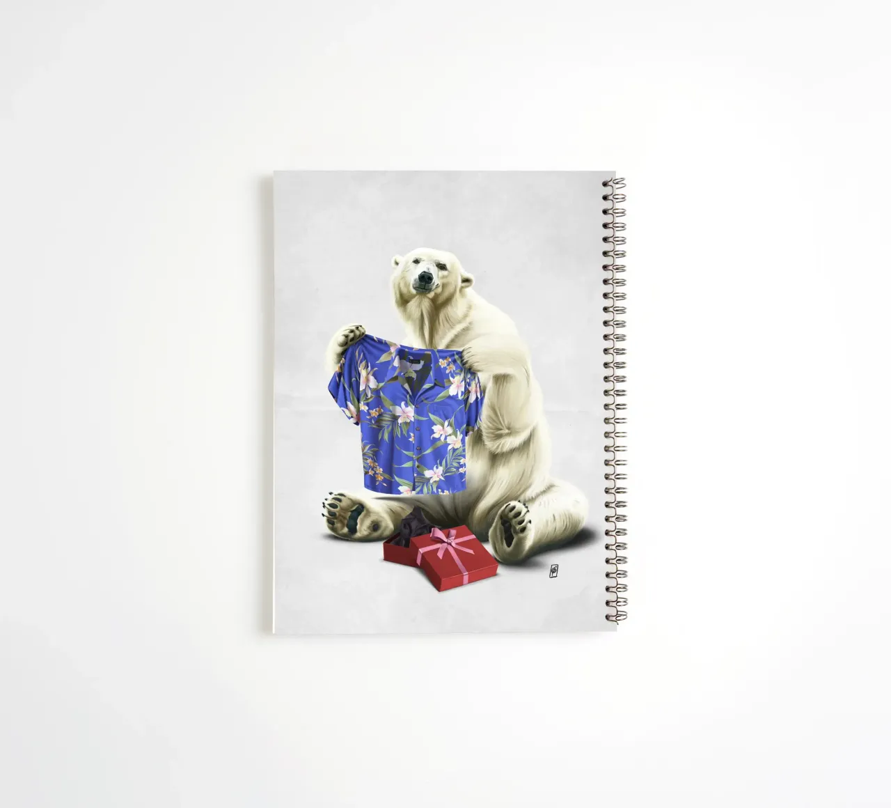 Cool! (Wordless) Ringbuch von Rob Art | Illustration