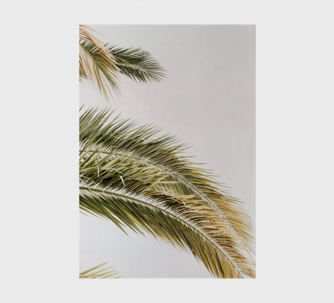 Oasis Palm 2 notebook by Shot By Clint