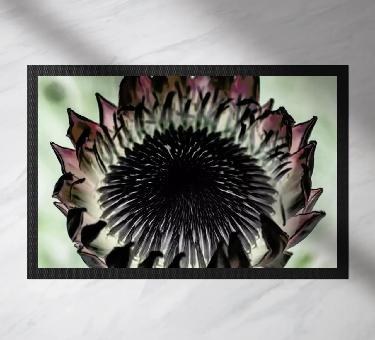 King Protea 2 zerbino da Shot By Clint