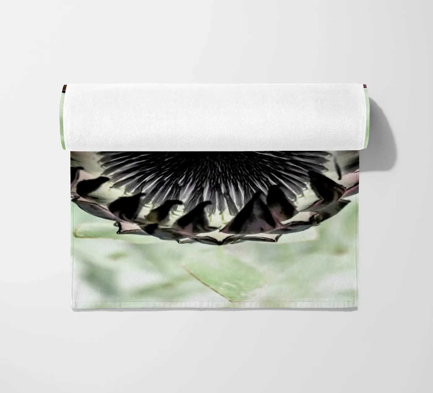 King Protea 2 telo mare da Shot By Clint