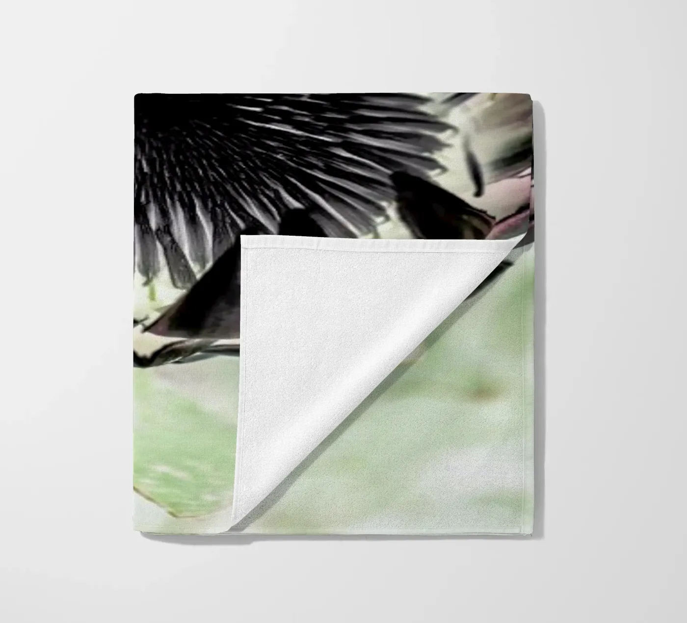 King Protea 2 telo mare da Shot By Clint