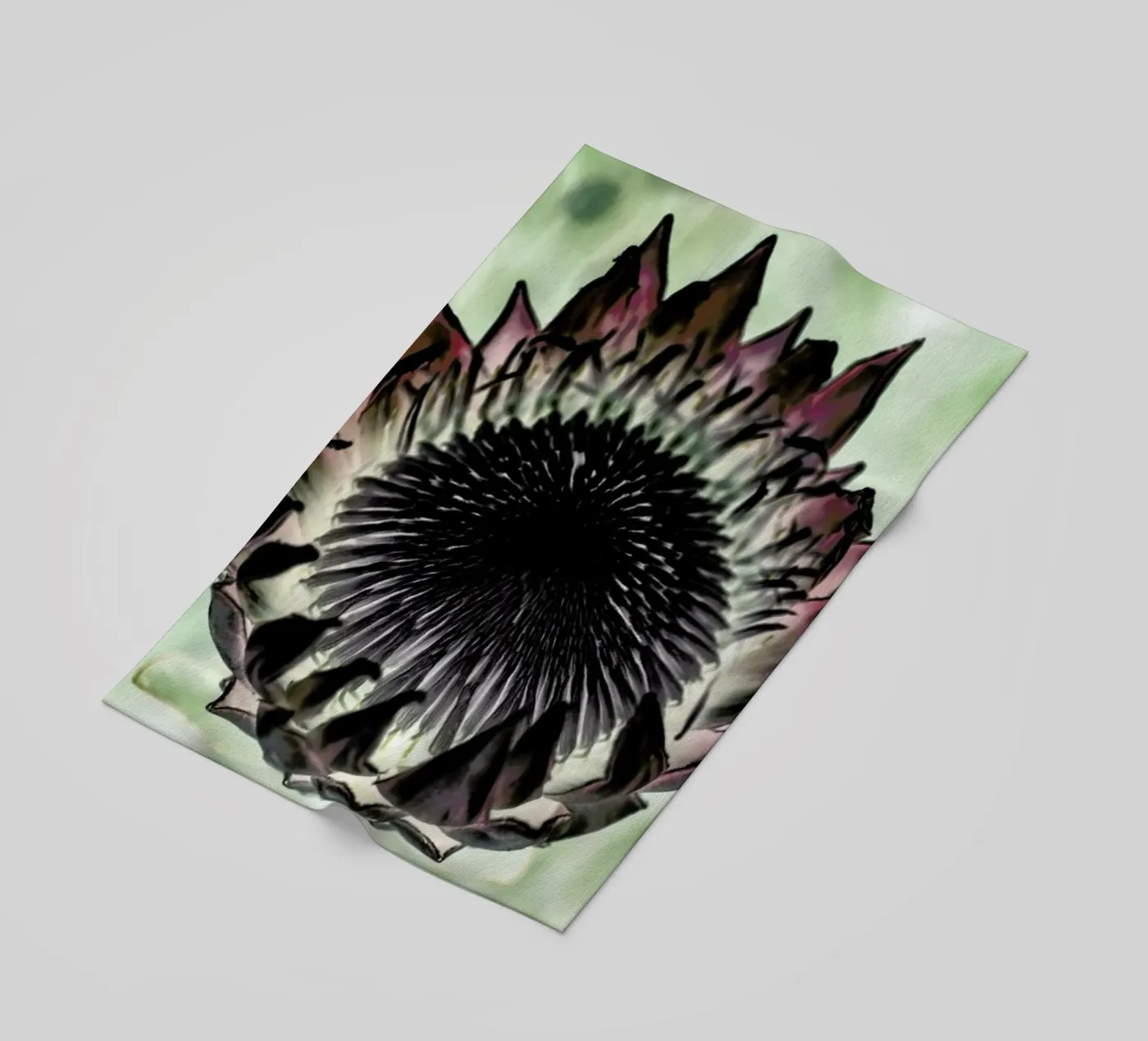 King Protea 2 telo mare da Shot By Clint