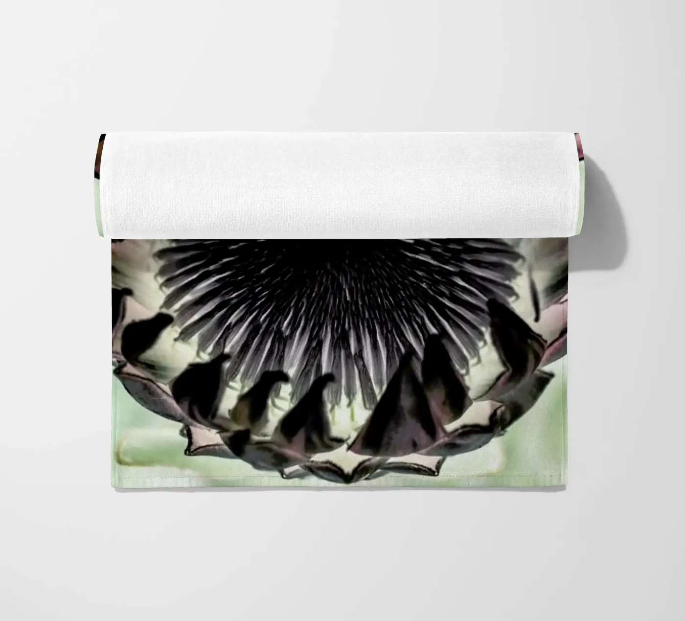 King Protea 2 telo mare da Shot By Clint