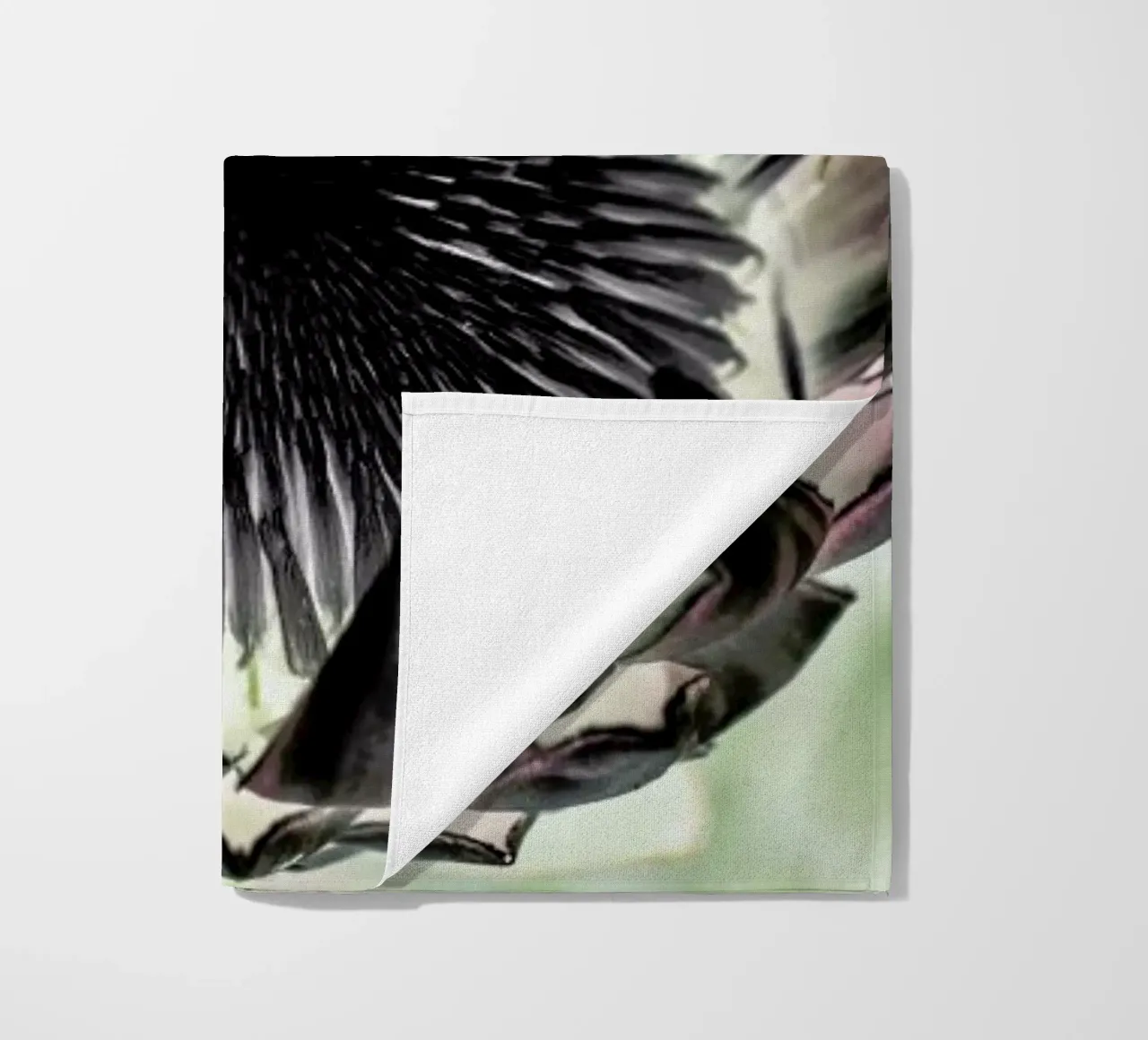 King Protea 2 telo mare da Shot By Clint