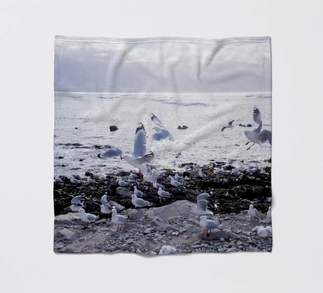 Coast coperta in pile da Jan Luzar
