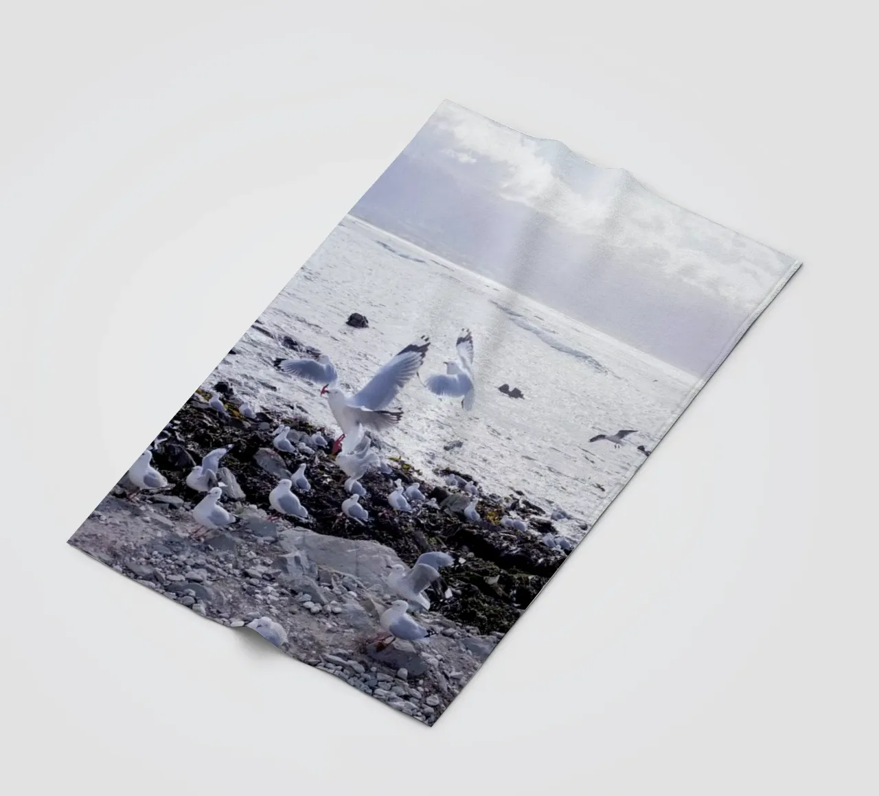 Coast coperta in pile da Jan Luzar