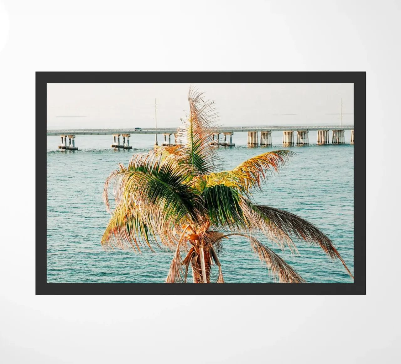 Florida Keys, palmier tropical - vue sur l'océan et le pont paillasson de Bold and Retro