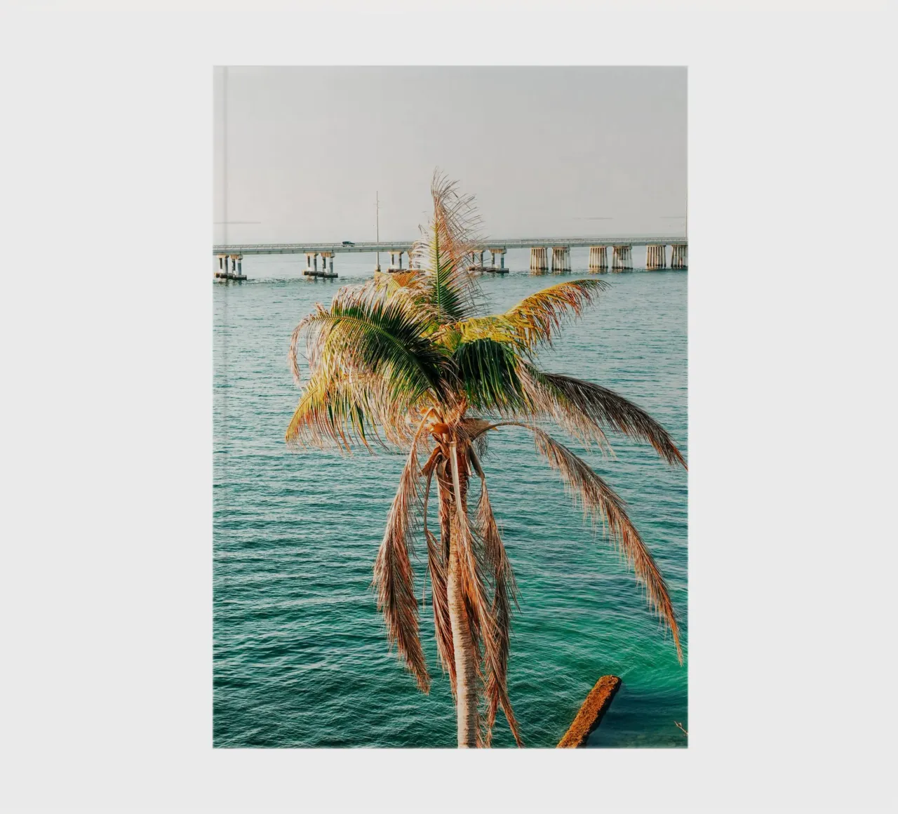 Florida Keys, Tropical Palm - View over ocean and bridge notebook by Bold and Retro