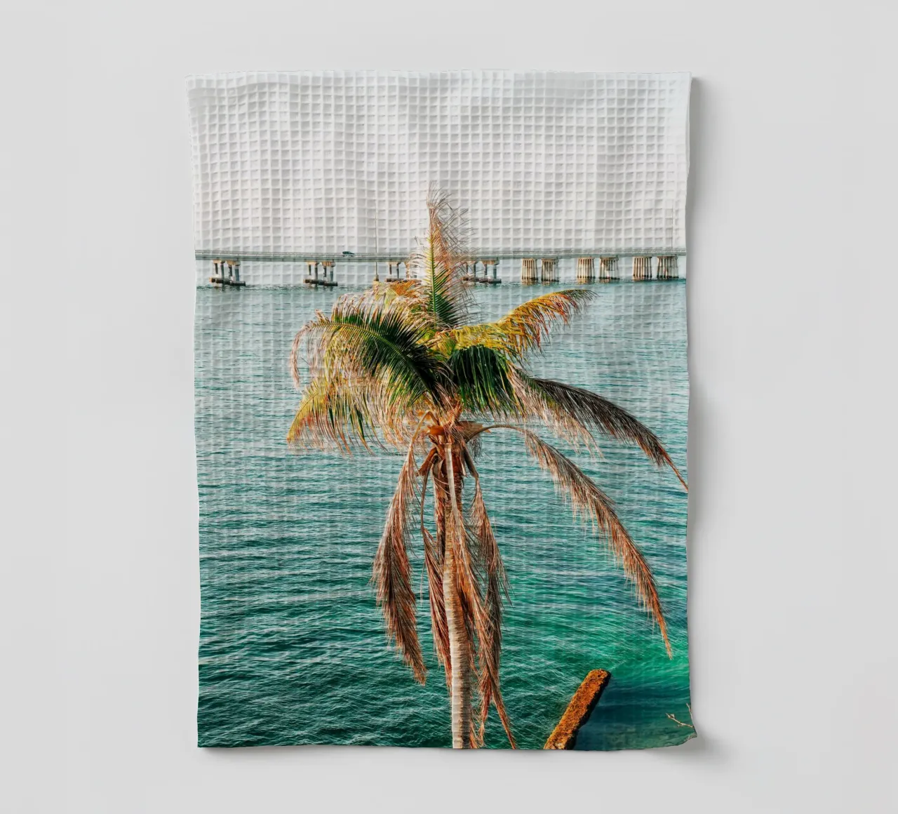 Florida Keys, palmier tropical - vue sur l'océan et le pont torchon de Bold and Retro