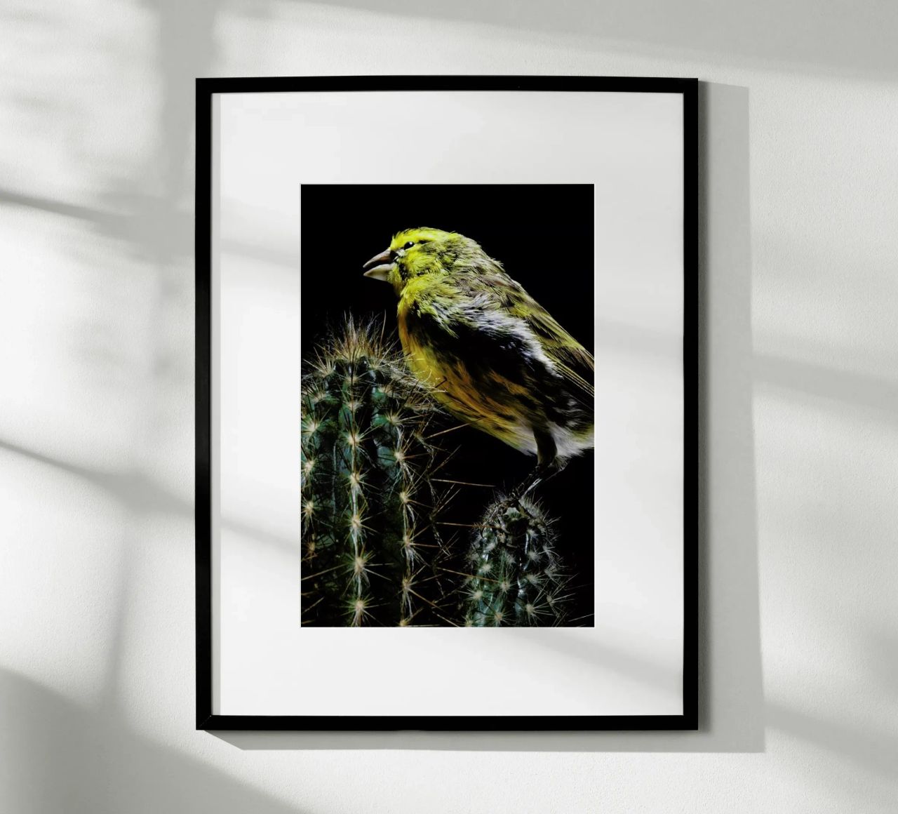 Birds Everywhere 16 poster by Günther Egger