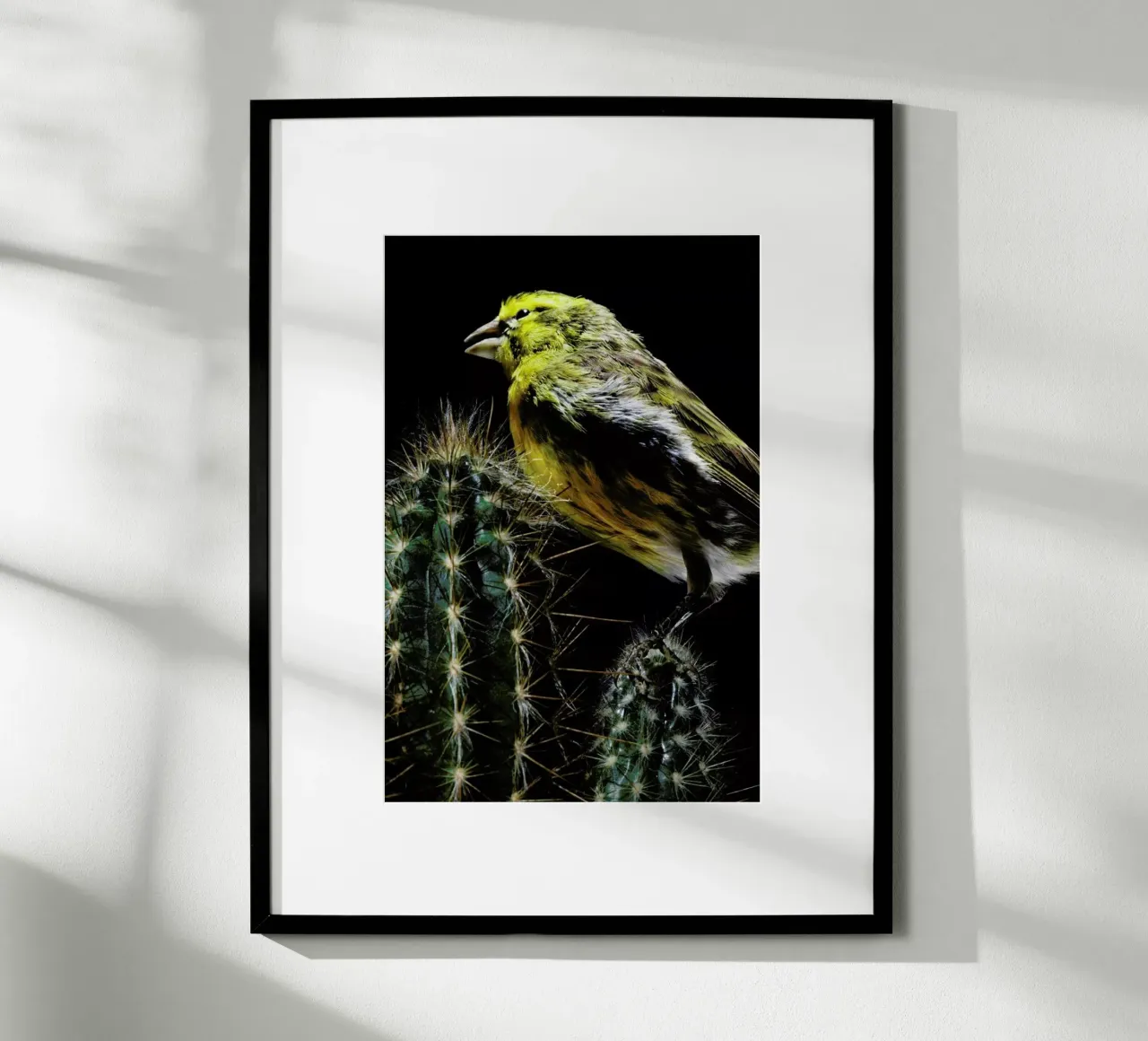 Birds Everywhere 16 poster da Günther Egger
