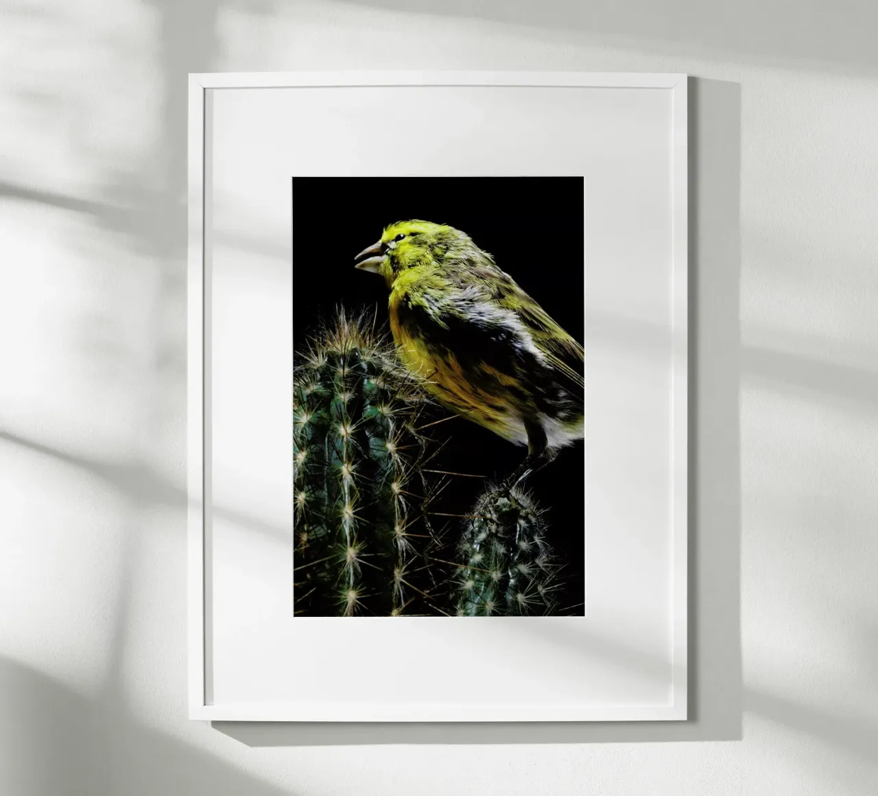 Birds Everywhere 16 poster da Günther Egger