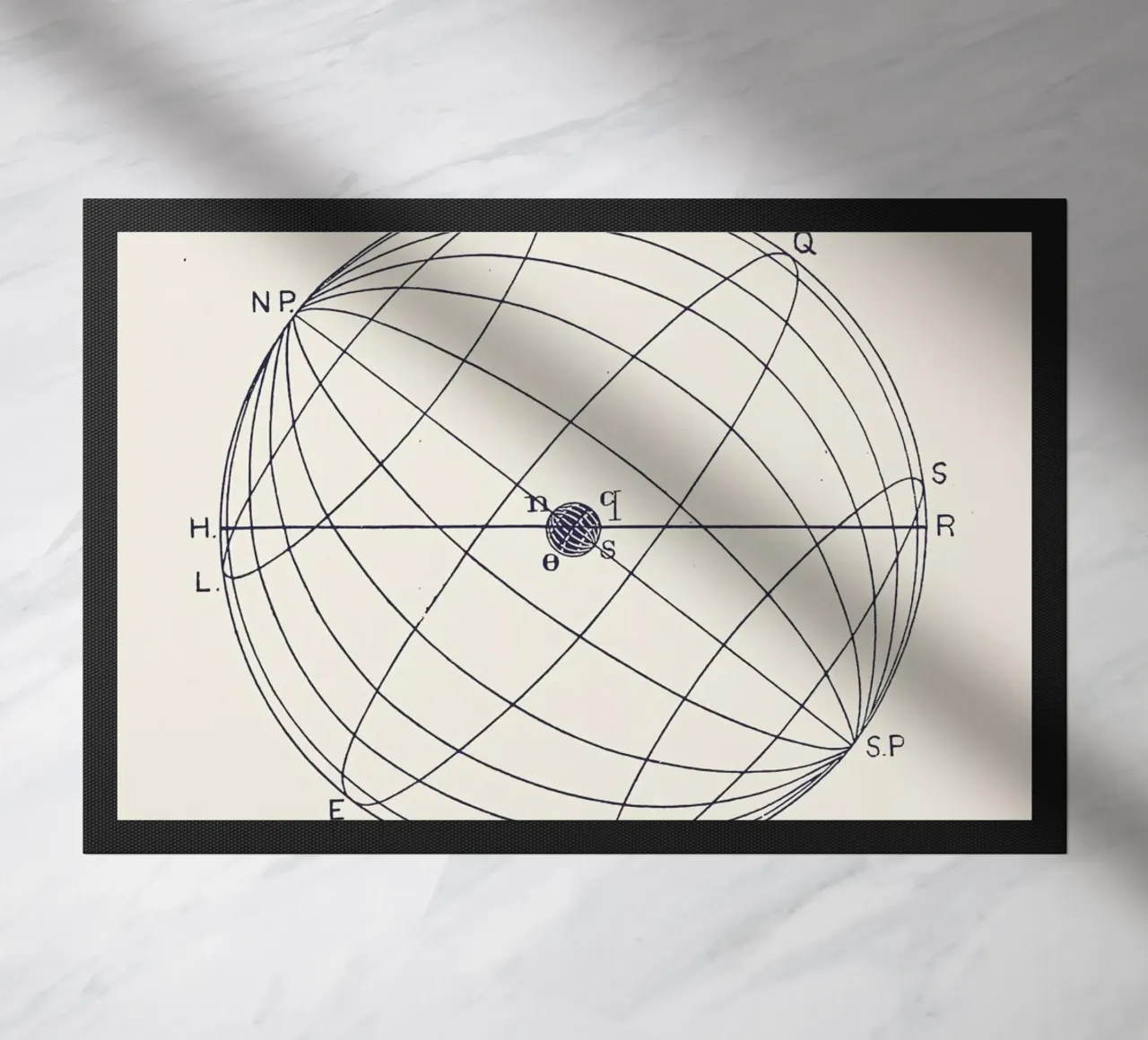 NSOQ zerbino da Astër