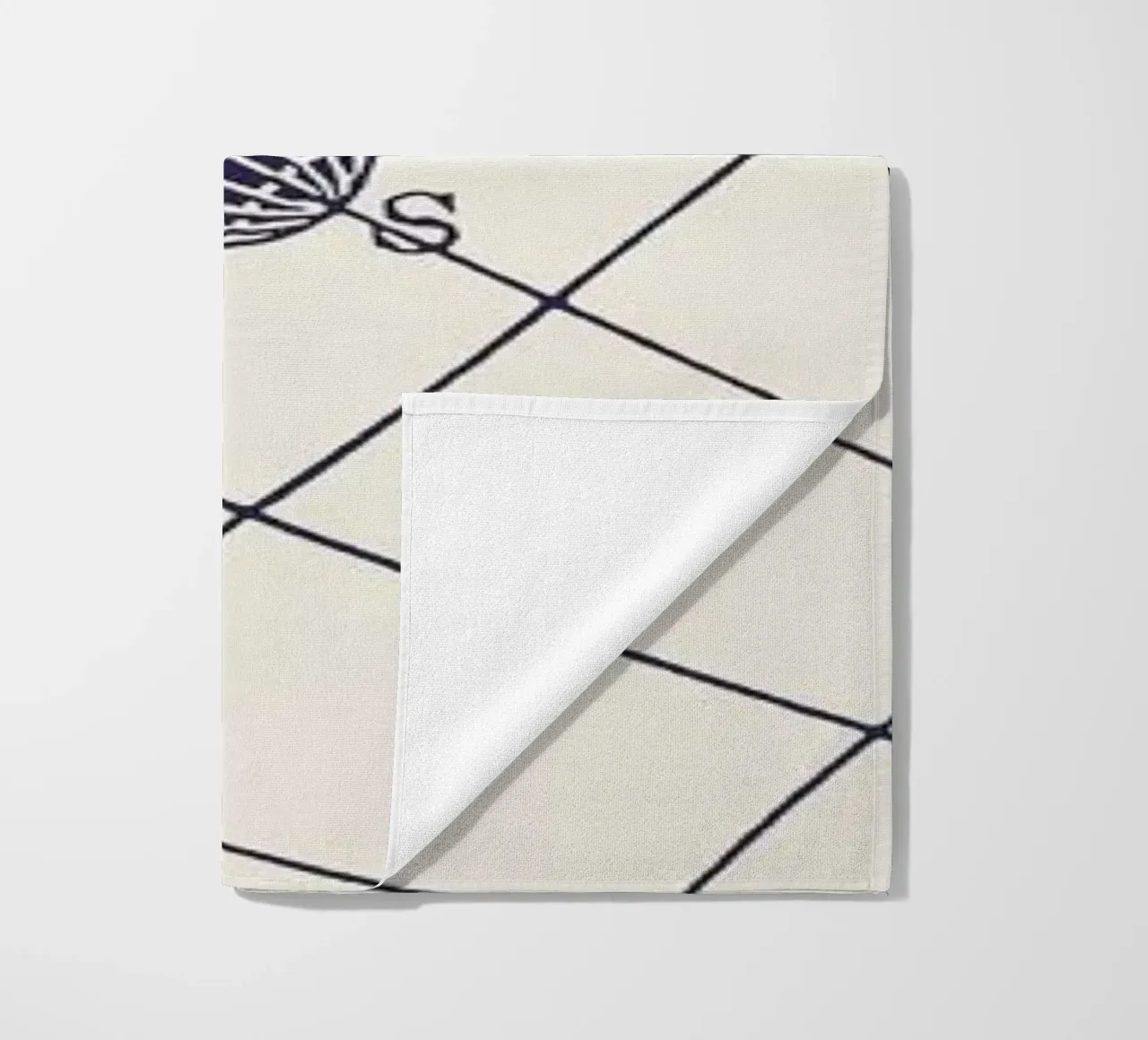 NSOQ telo mare da Astër