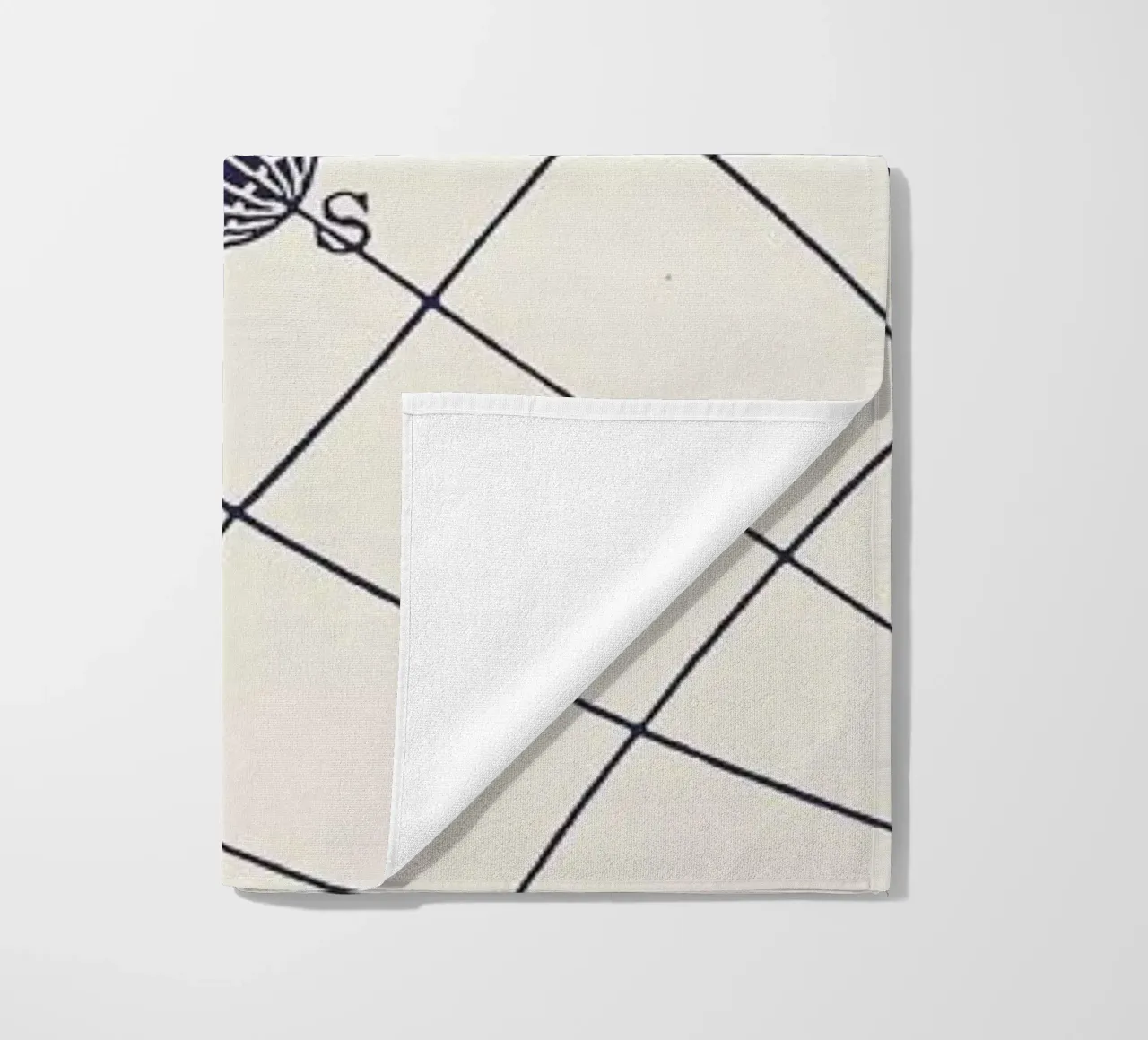 NSOQ telo mare da Astër